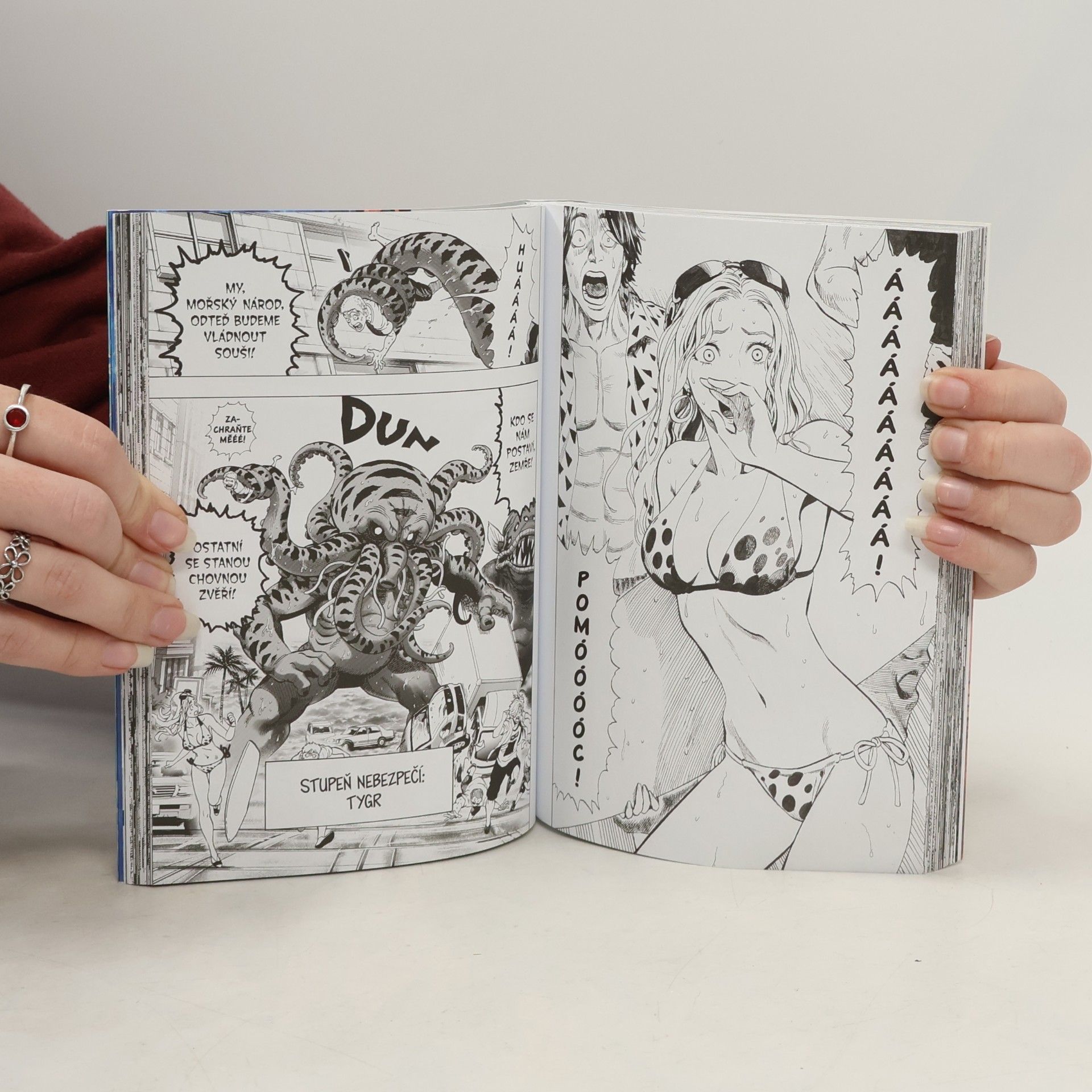 Marek Mikeš One-Punch Man. 04, Obří meteorit