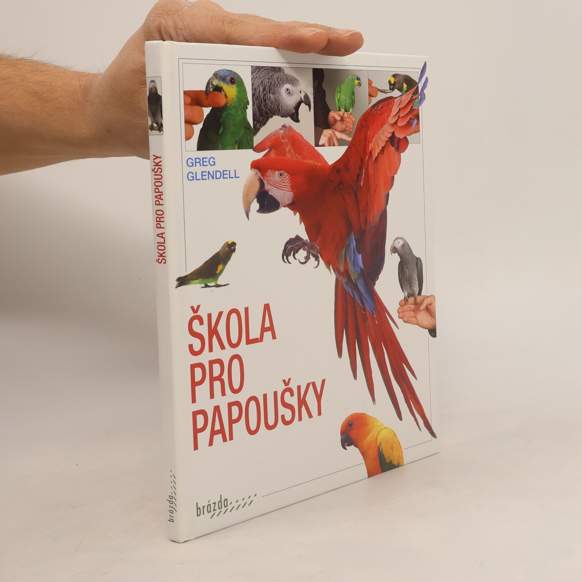 Škola pro papoušky
