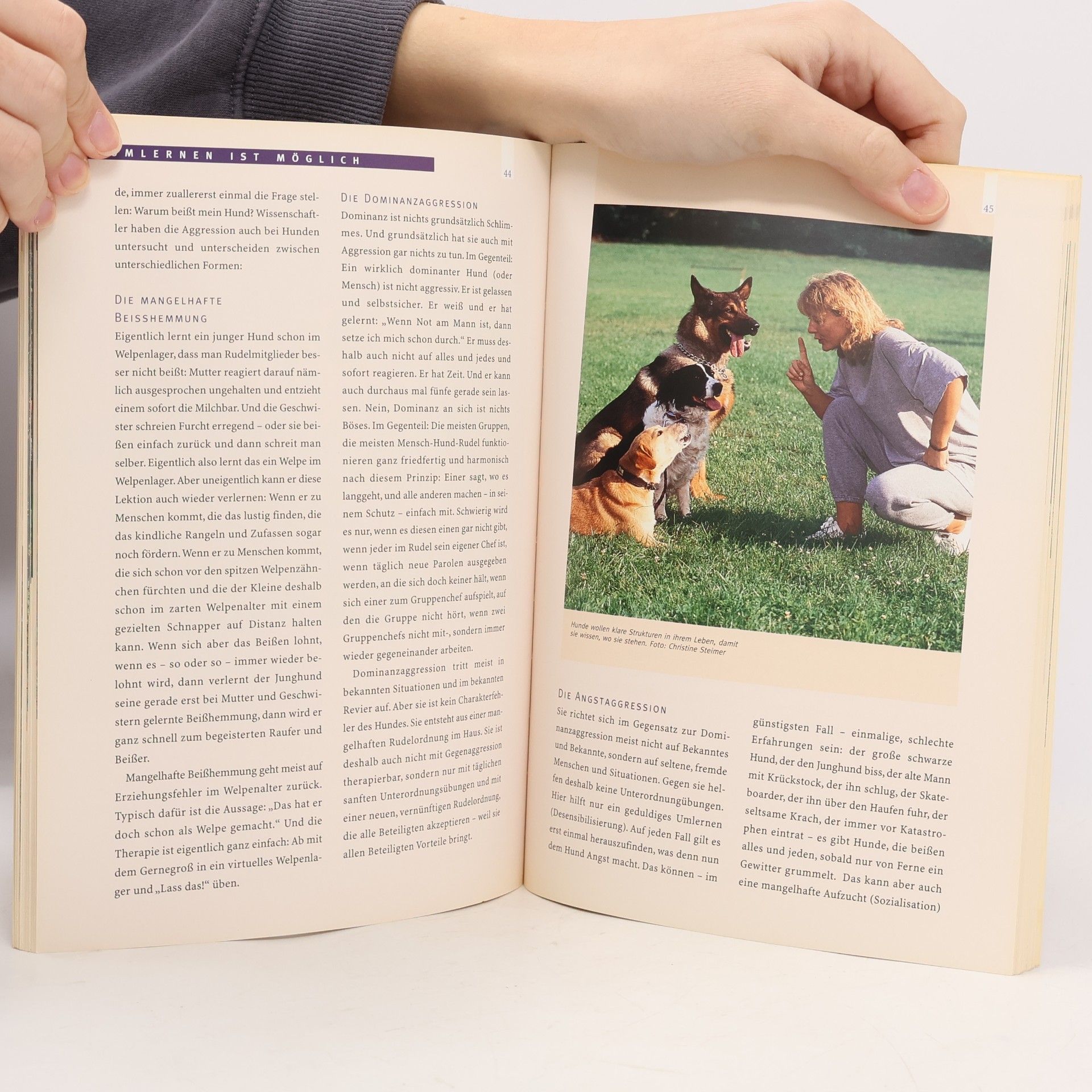 Gudrun Beckmann Mein Hund beißt nicht