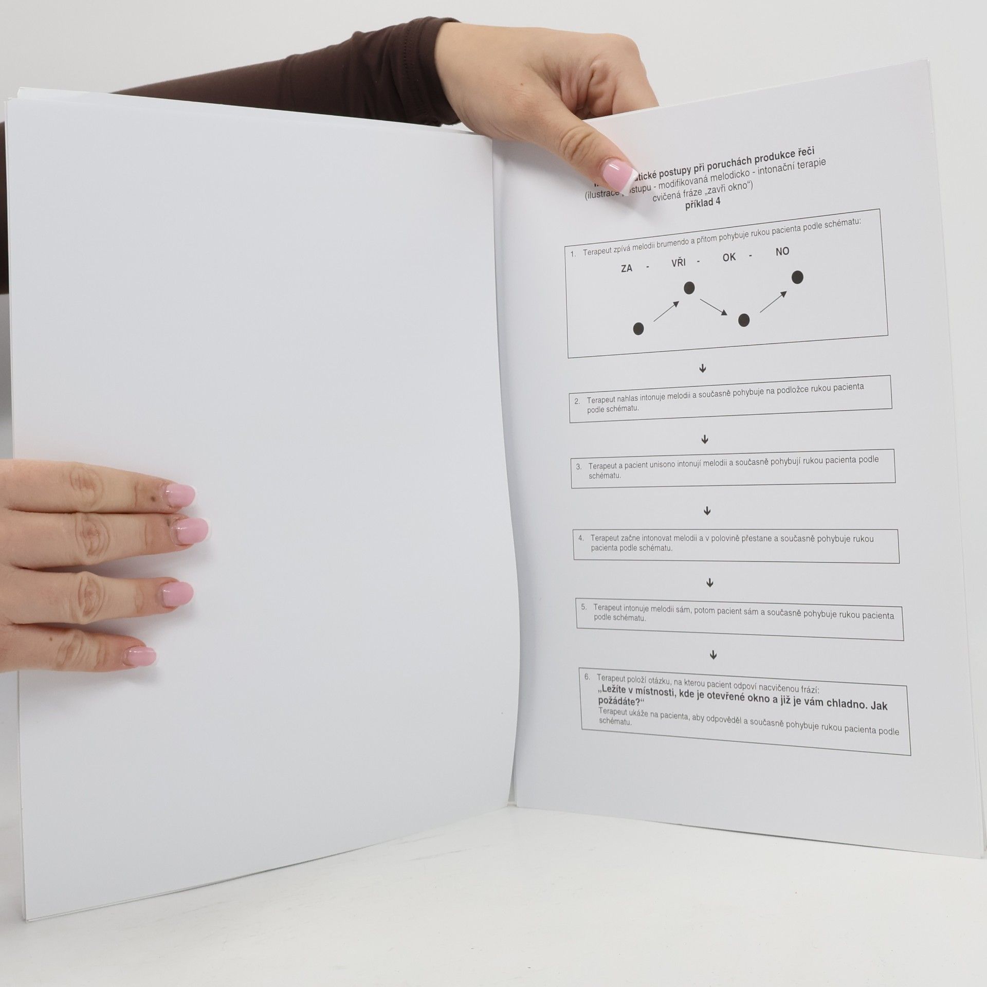 kolektiv Terapeutické postupy 3. Při poruchách produkce řeči