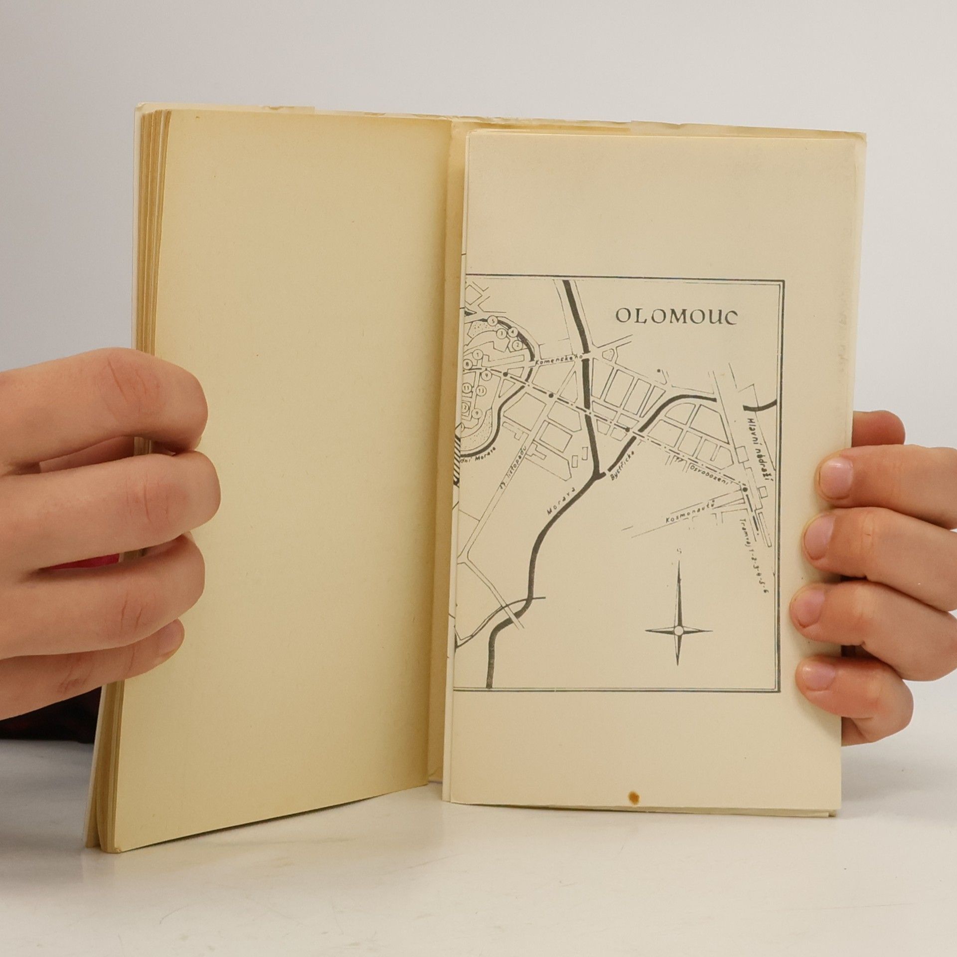 Collectif d'auteurs Olomouc : turistický průvodce