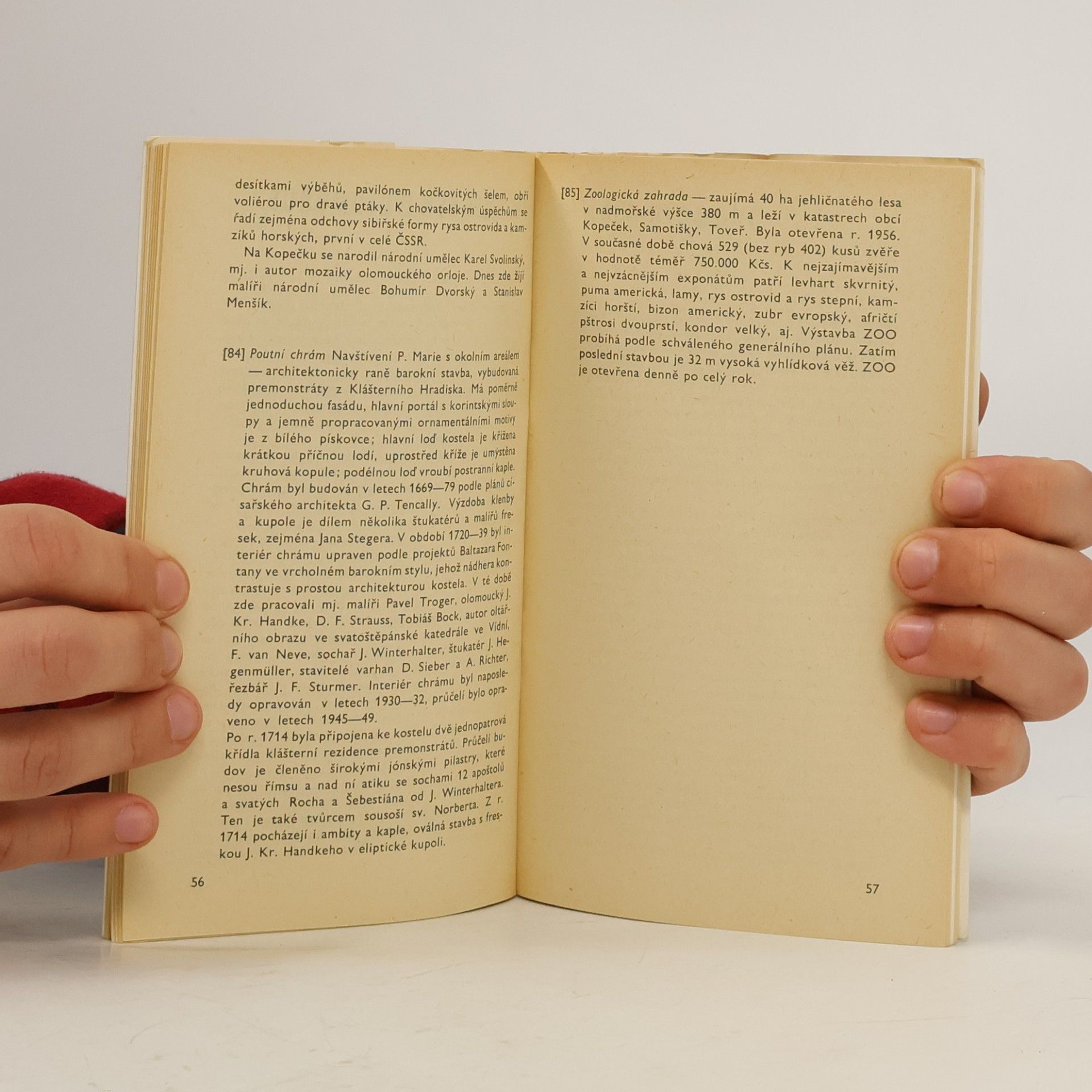 Collectif d'auteurs Olomouc : turistický průvodce