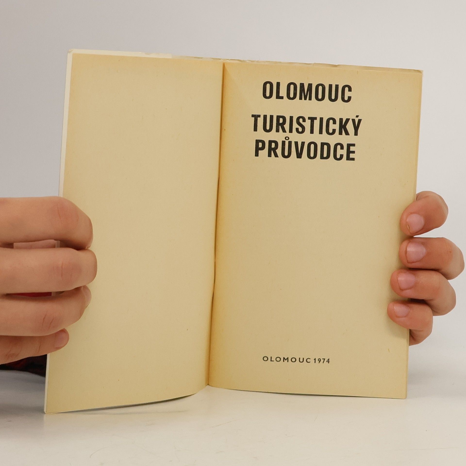 Collectif d'auteurs Olomouc : turistický průvodce