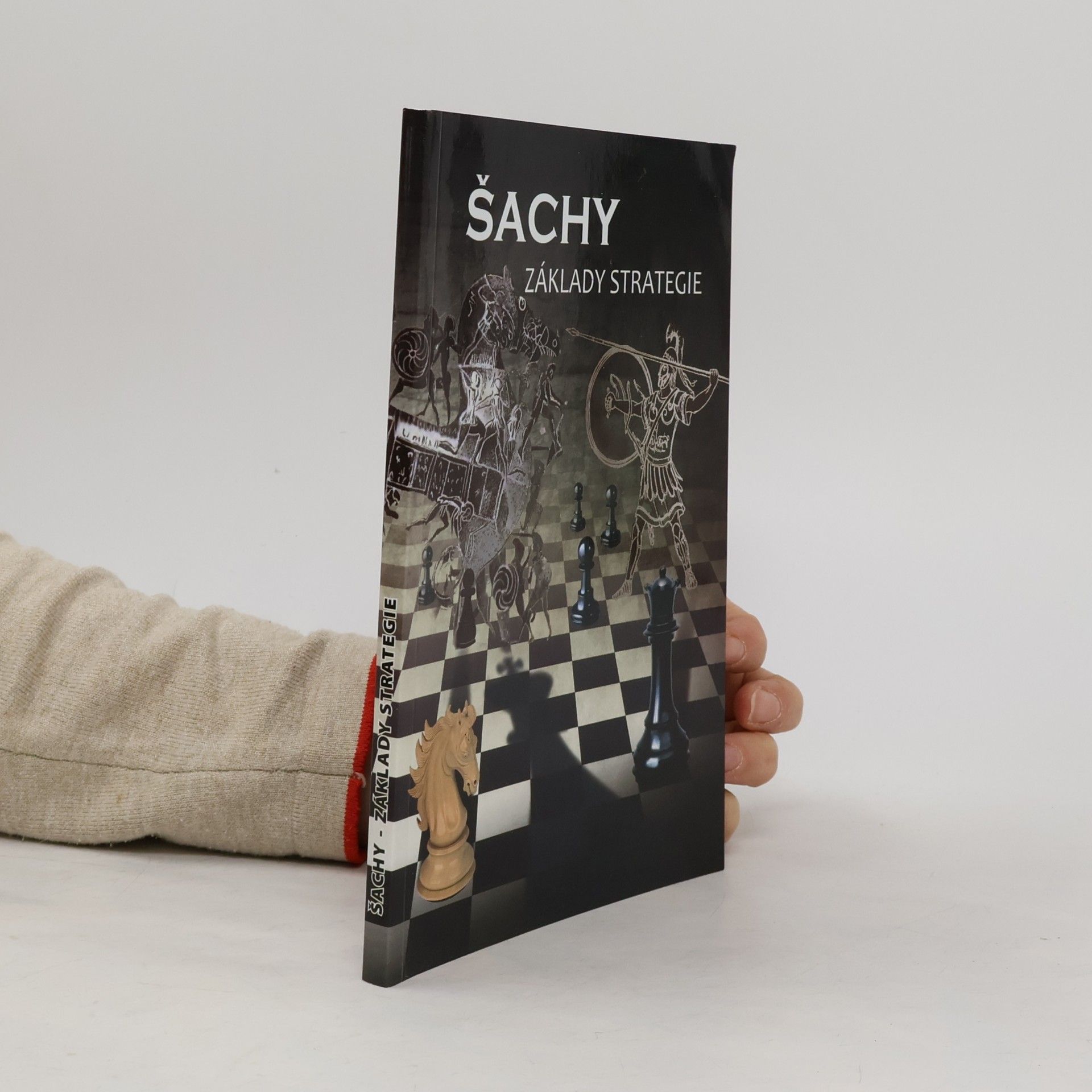 Šachy - Základy strategie