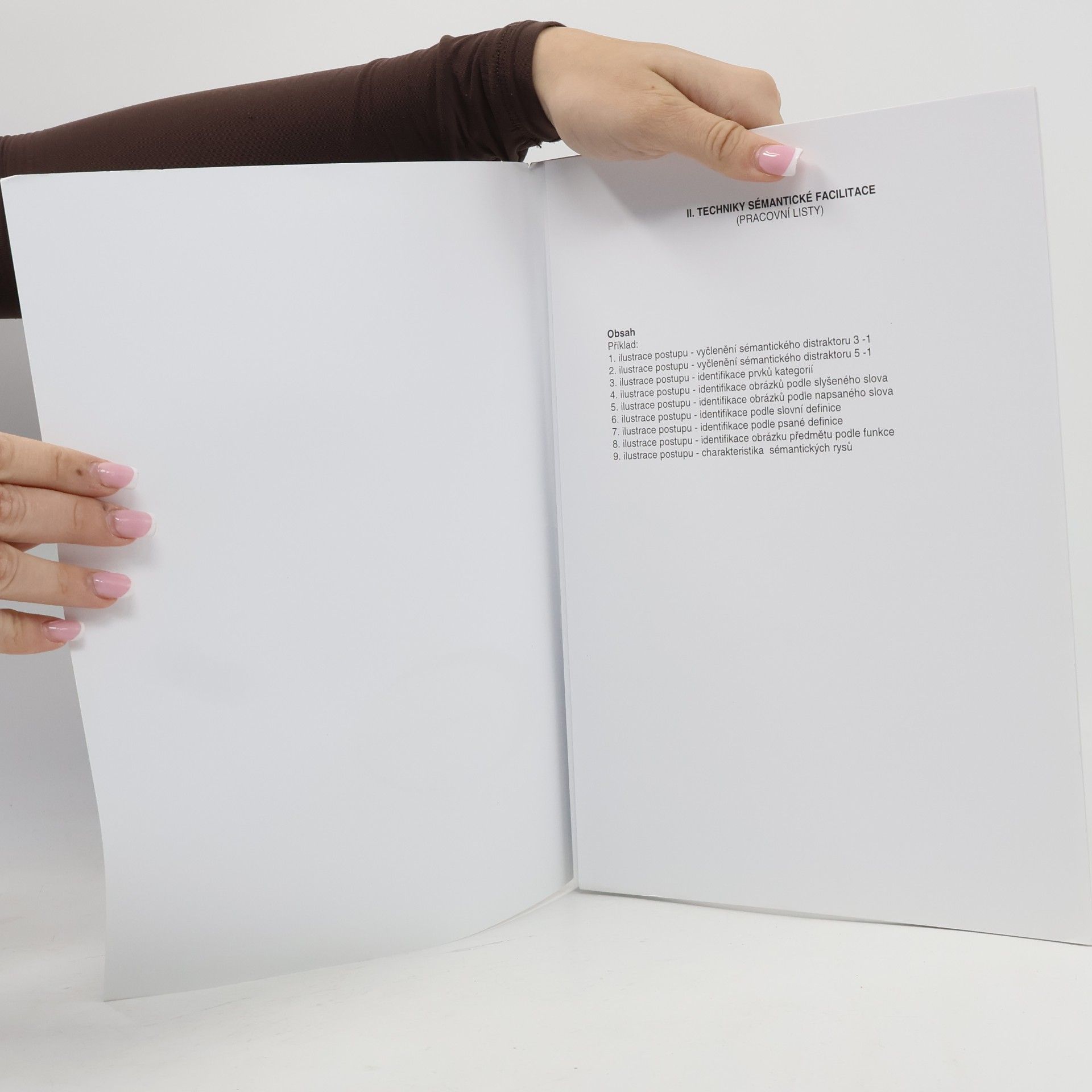 kolektiv Techniky sémantické facilitace II.