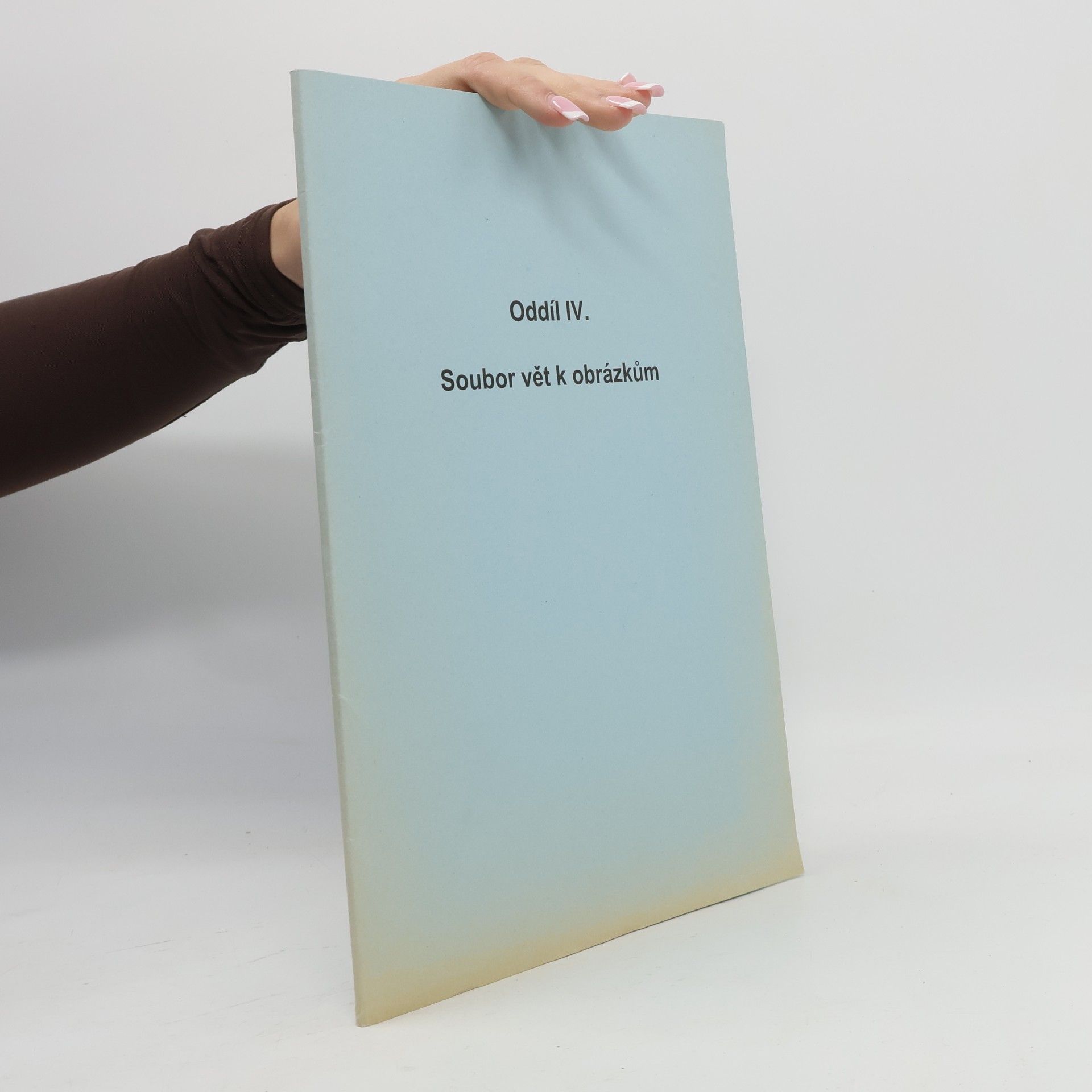 kolektiv Oddíl IV