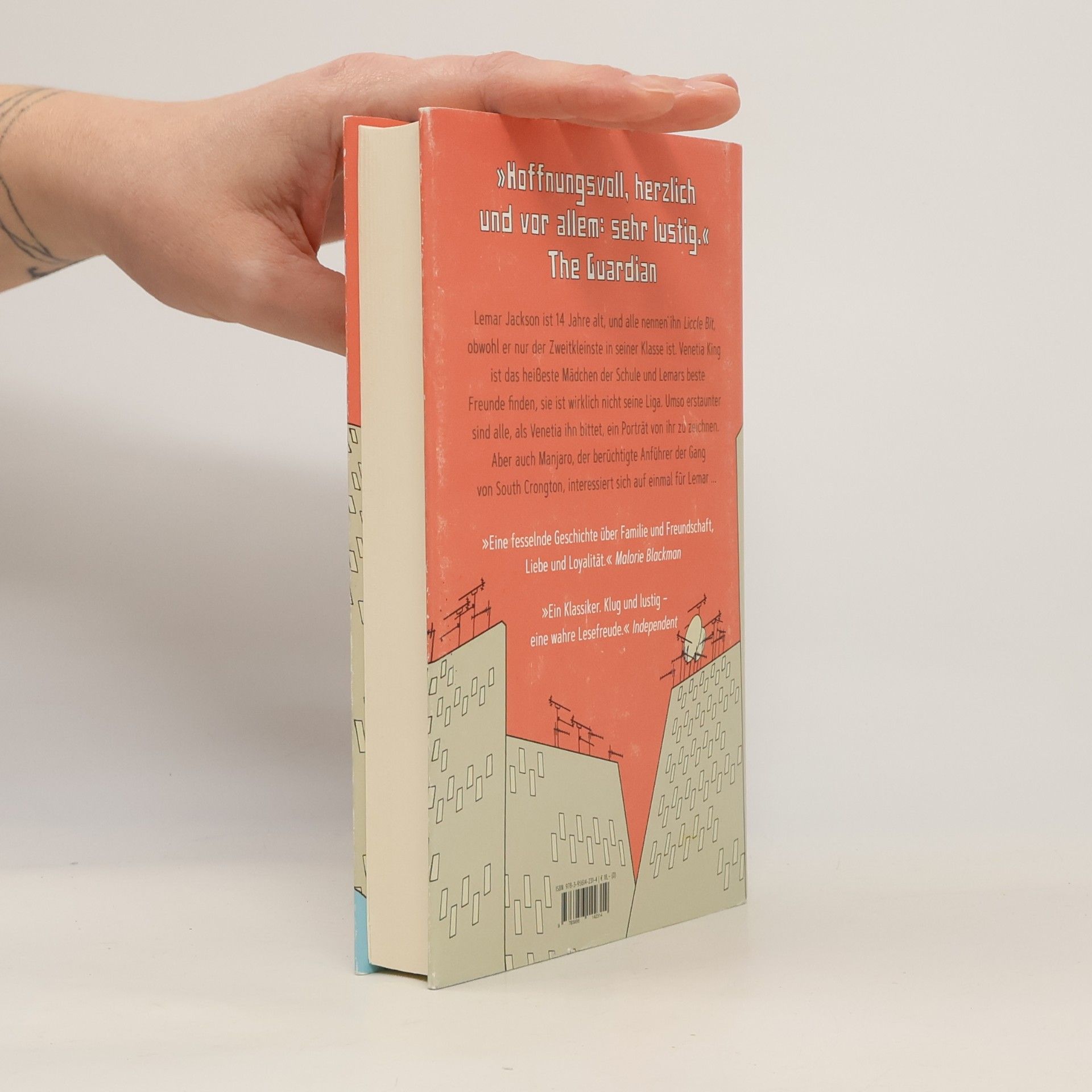 Alex Wheatle Liccle Bit - Der Kleine aus Crongton