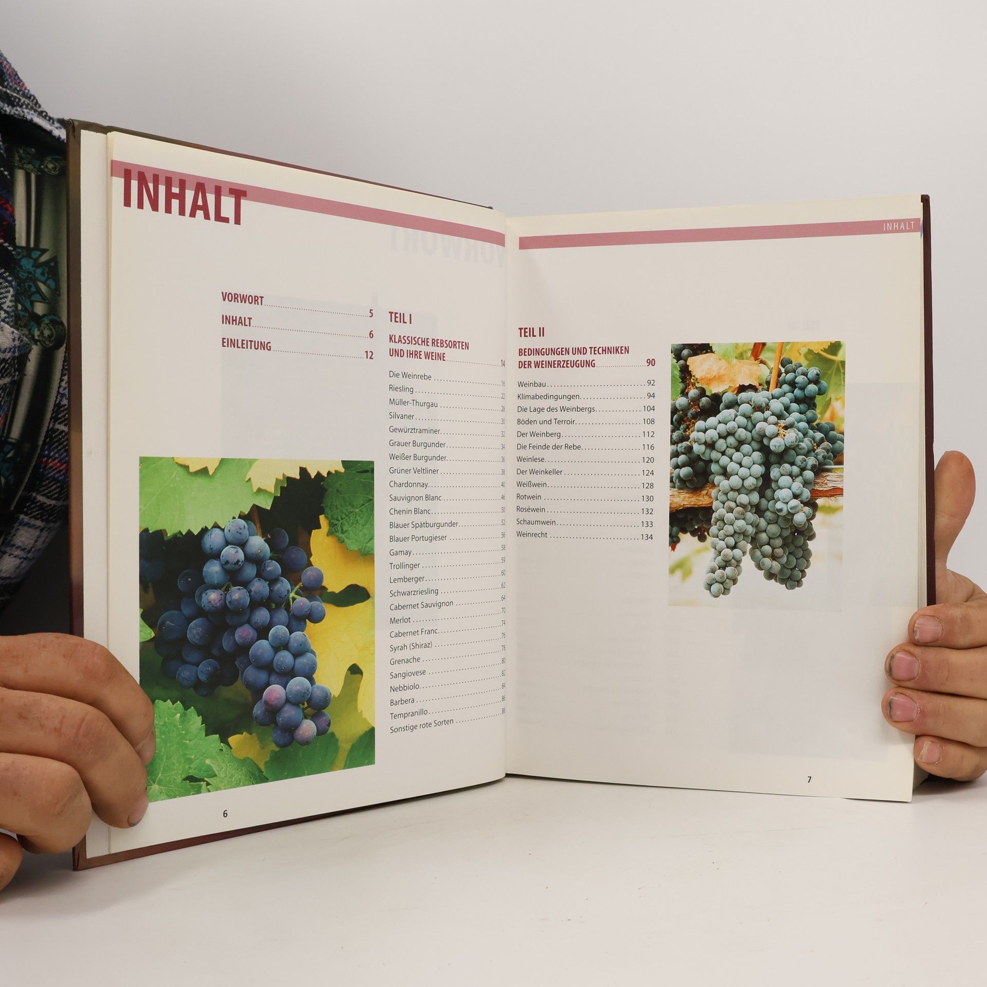 kolektiv Wein