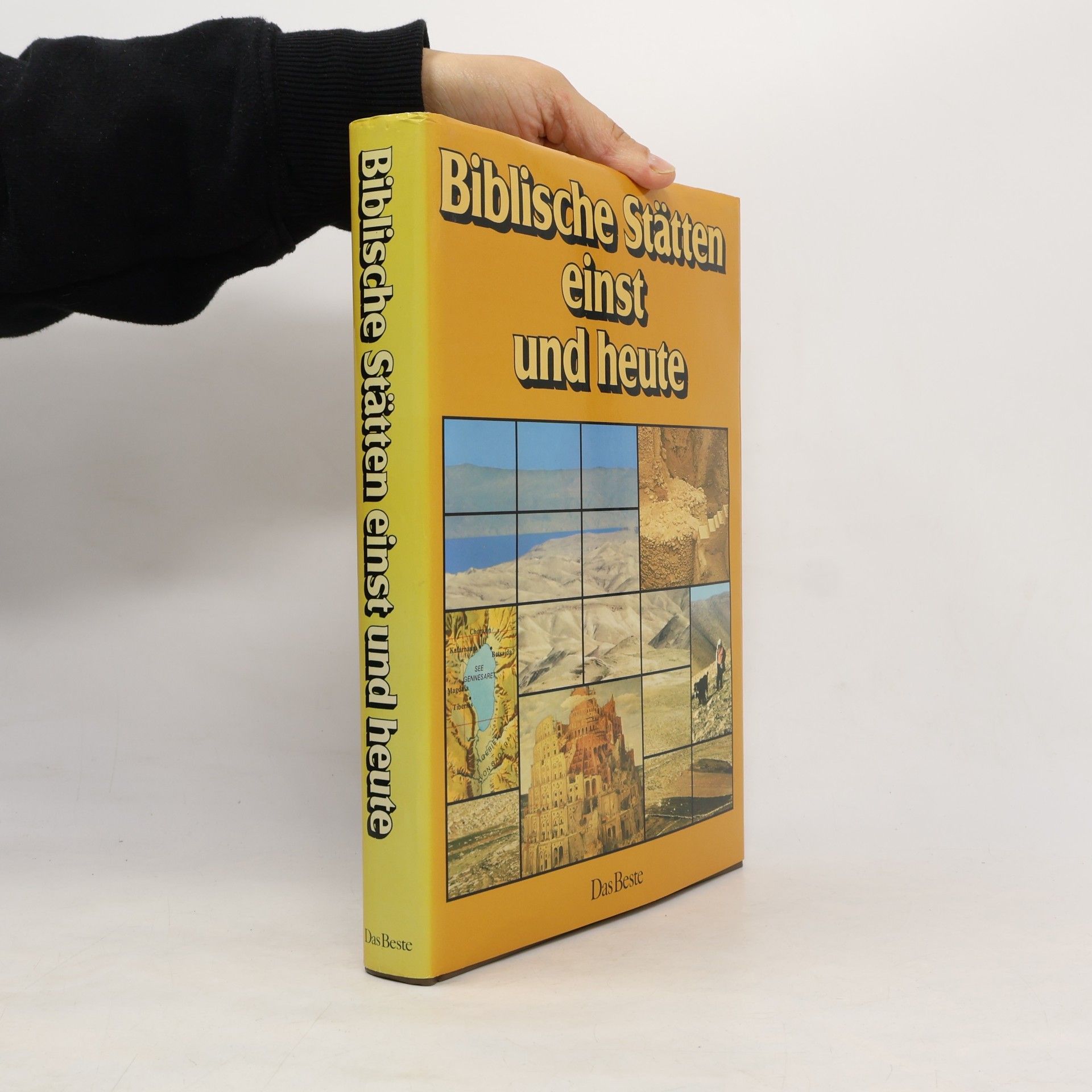 Sybille A. Rott Illfeld Biblische Stätten einst und heute