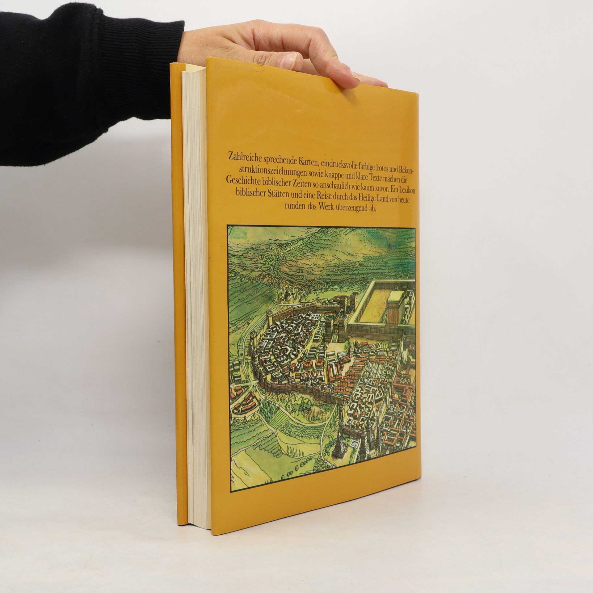 Sybille A. Rott Illfeld Biblische Stätten einst und heute