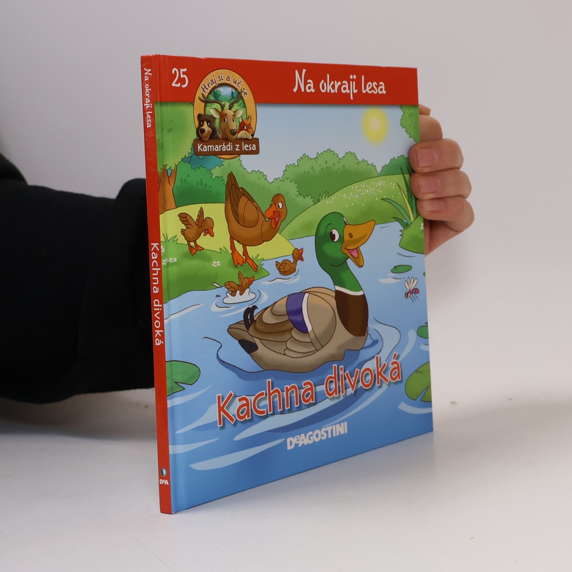 Kolektiv autorů Na okraji lesa 25. Kachna divoká