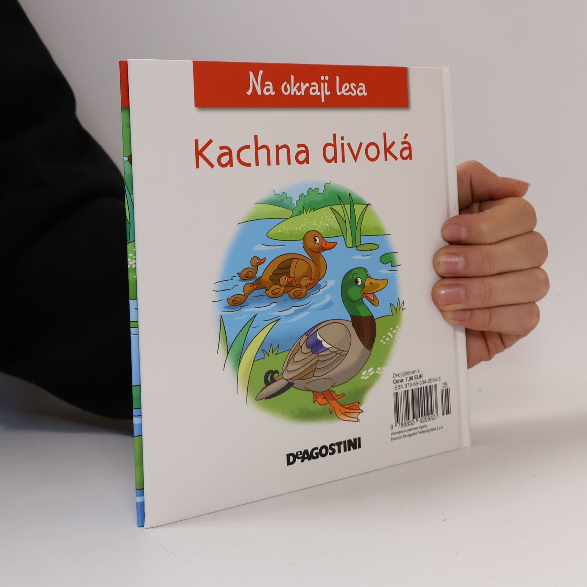 Kolektiv autorů Na okraji lesa 25. Kachna divoká