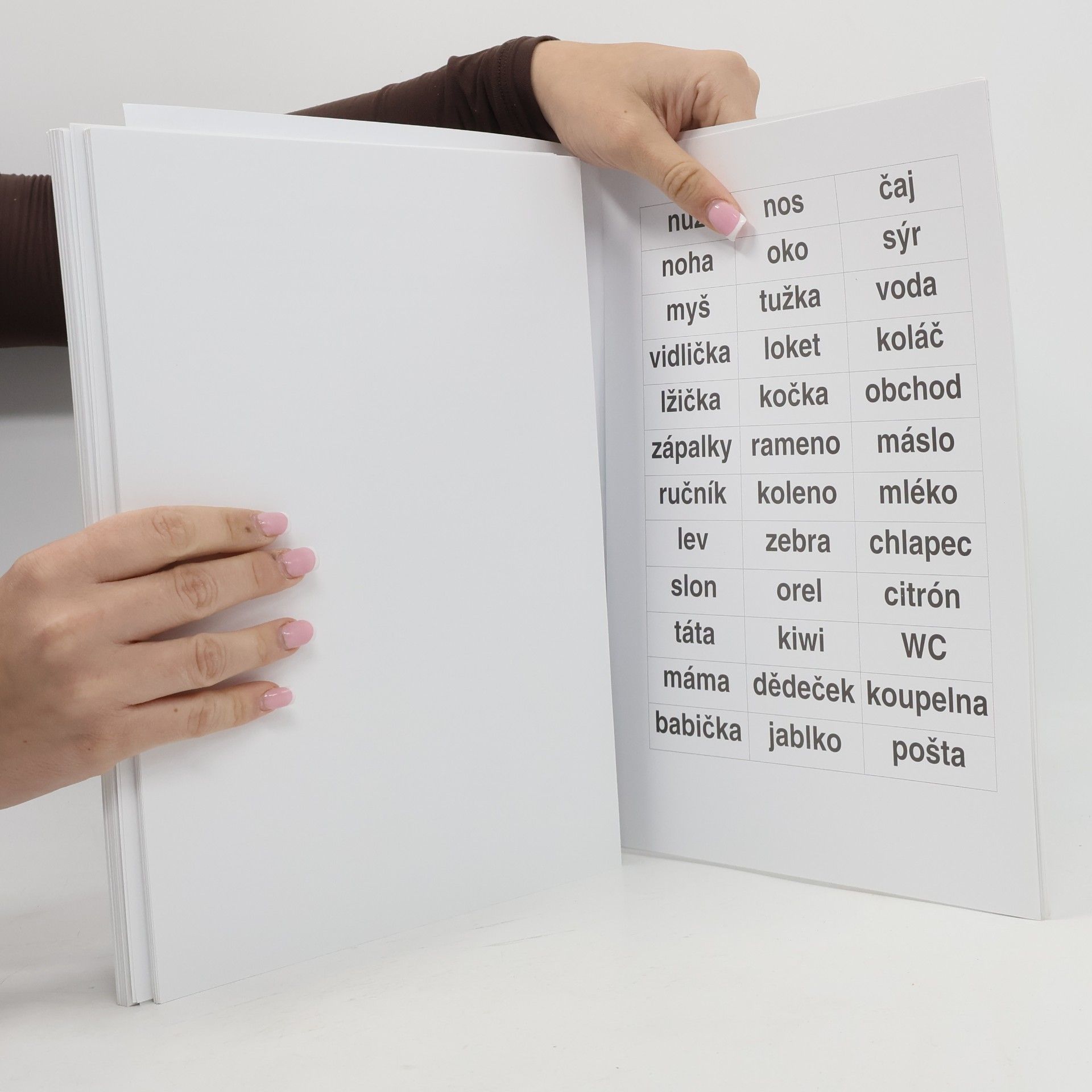kolektiv Terapeutické materiály VII. Obrázky, slova, abeceda, schémata