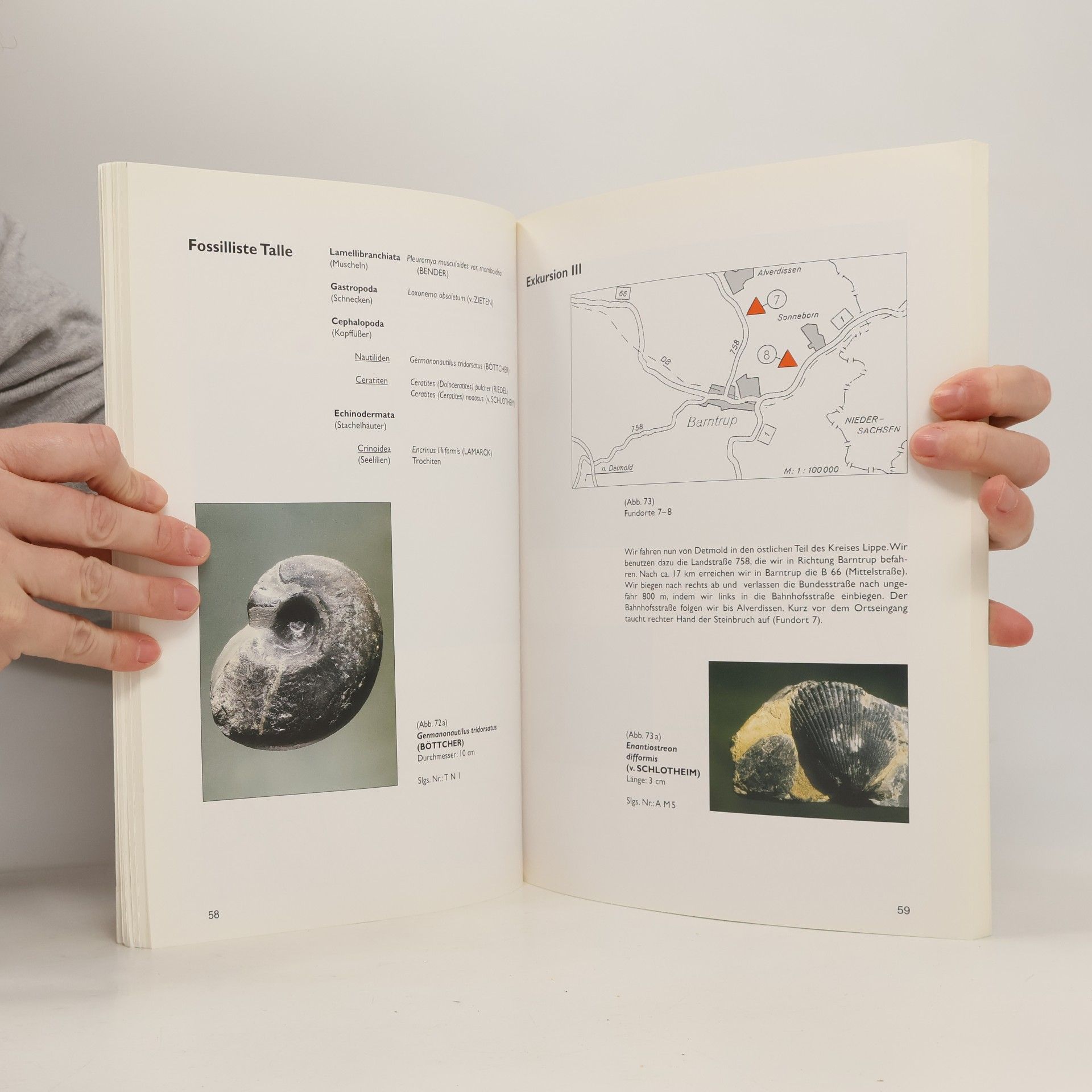 Kurt Peter Flohr Sonderveröffentlichungen des Naturwissenschaftlichen und Historischen Vereins für das Land Lippe: Fossile Fauna des oberen Muschelkalkes in Ostwestfalen-Lippe