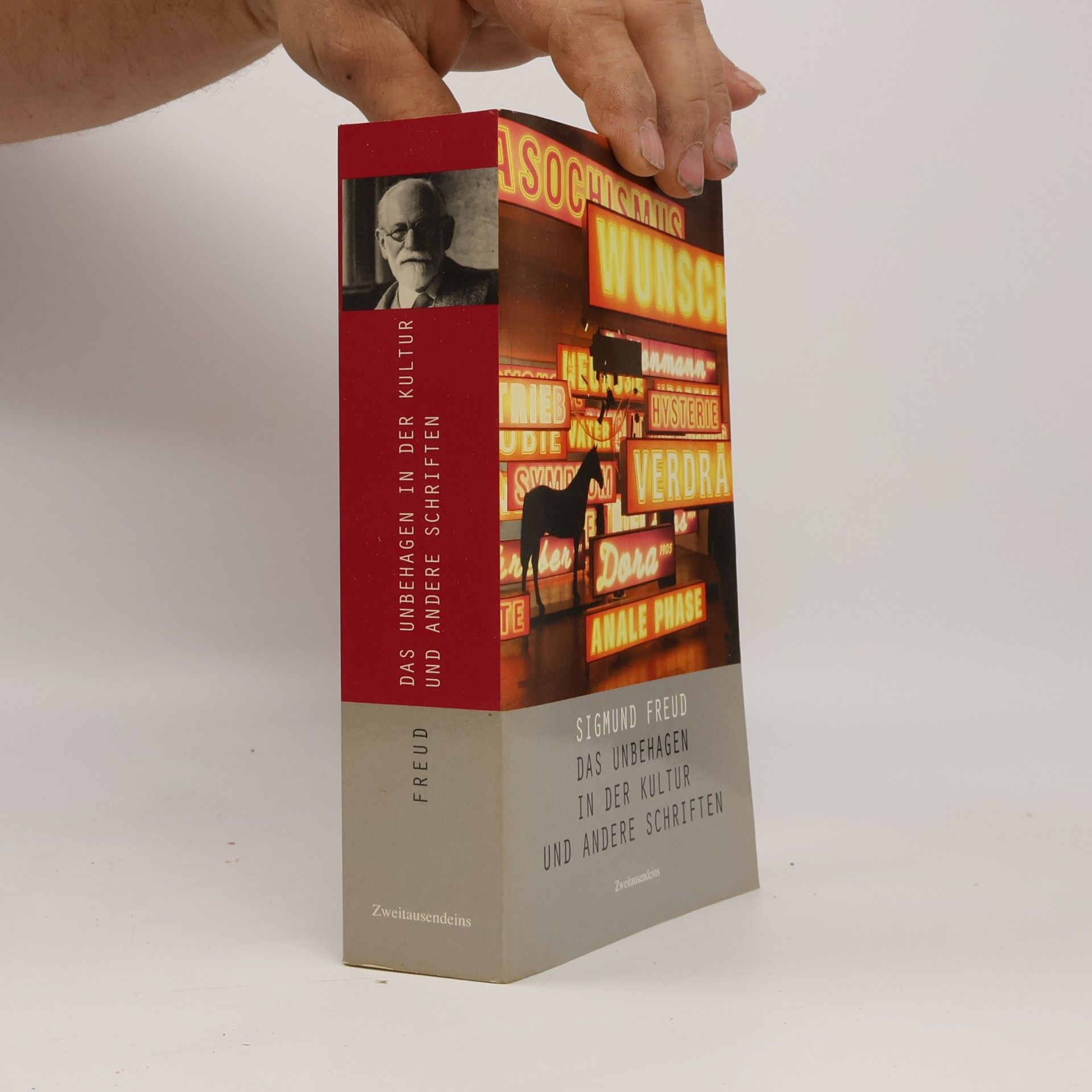 Sigmund Freud Die Traumdeutung und andere Schriften