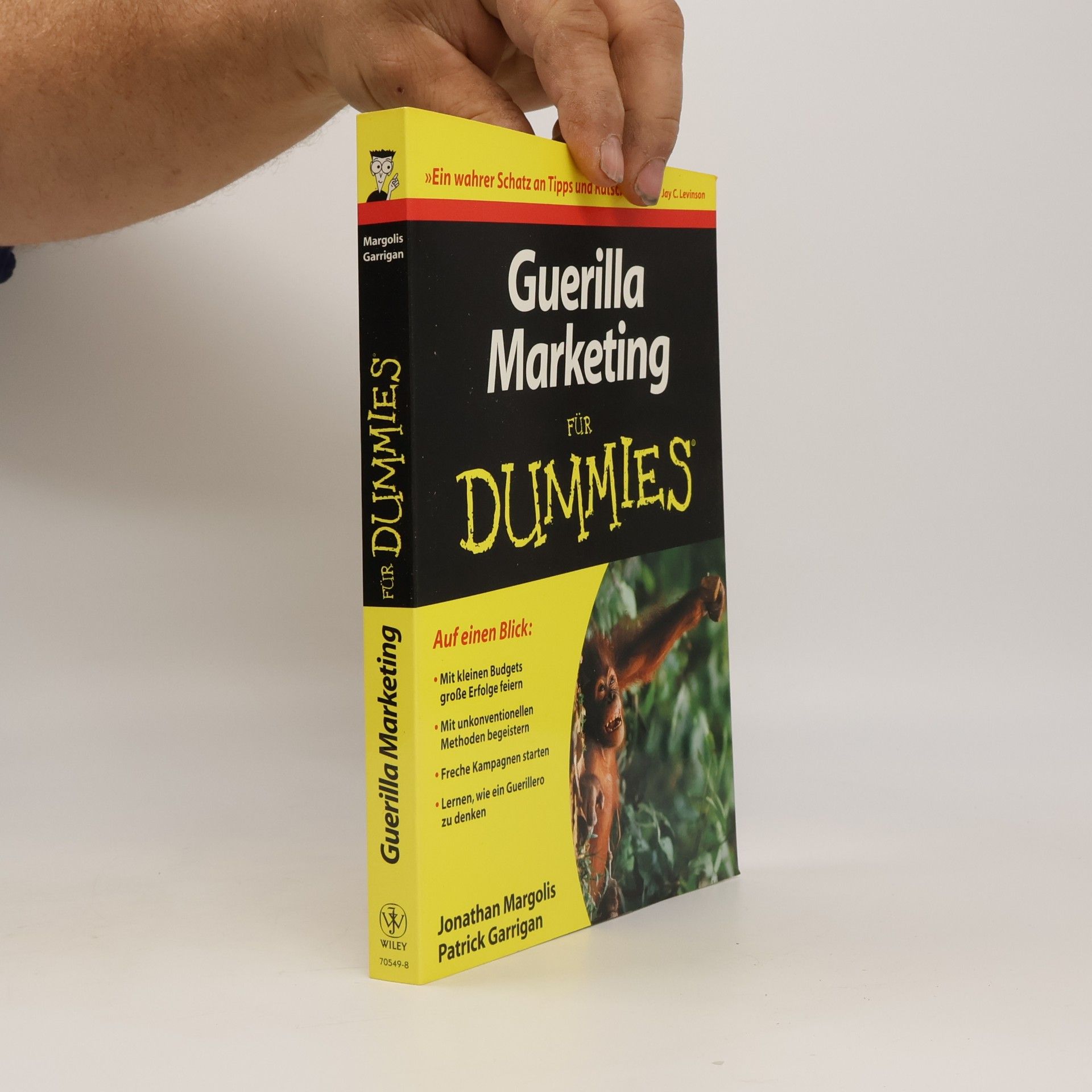 Guerilla Marketing für Dummies