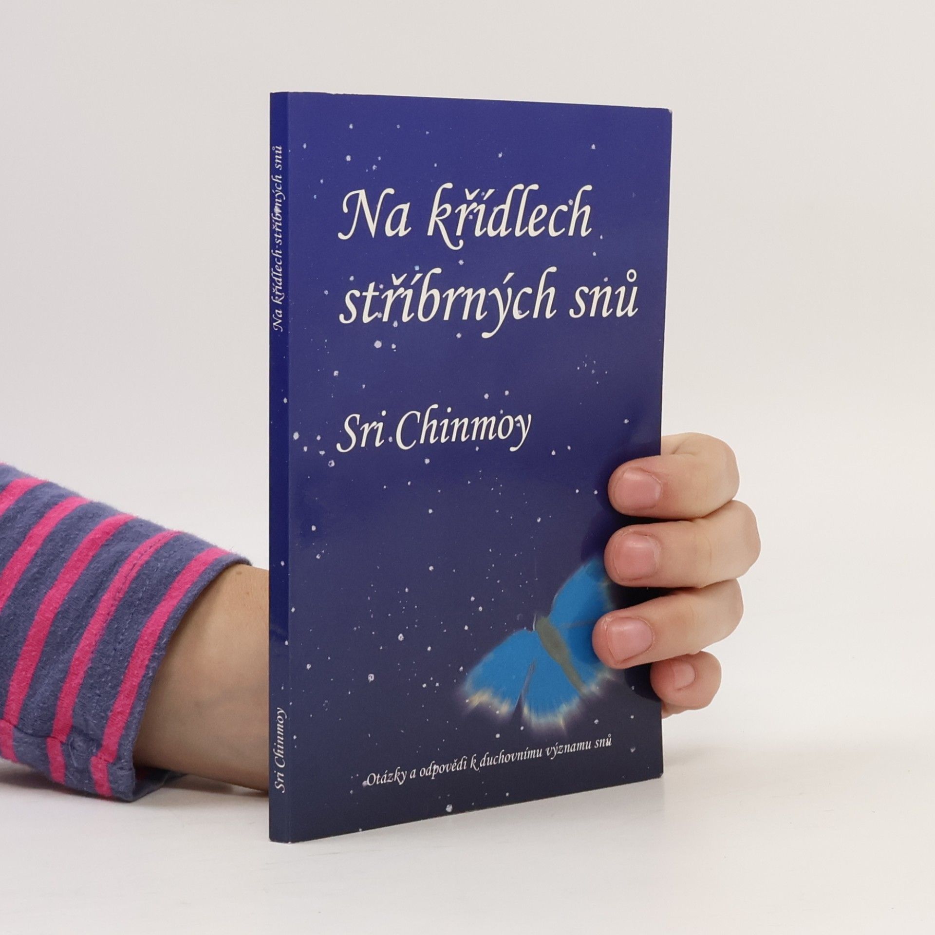 Sri Chinmoy Na křídlech stříbrných snů