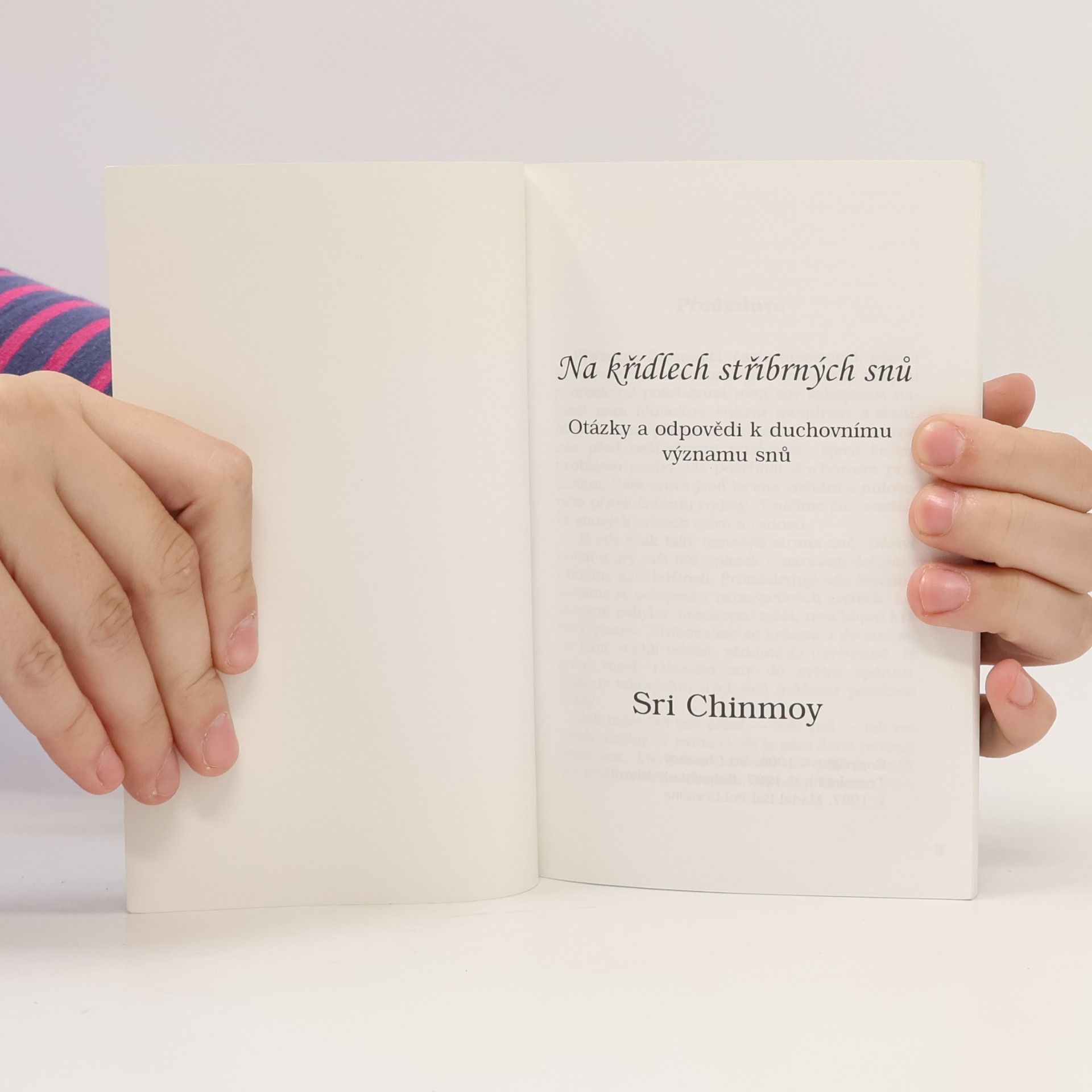 Sri Chinmoy Na křídlech stříbrných snů