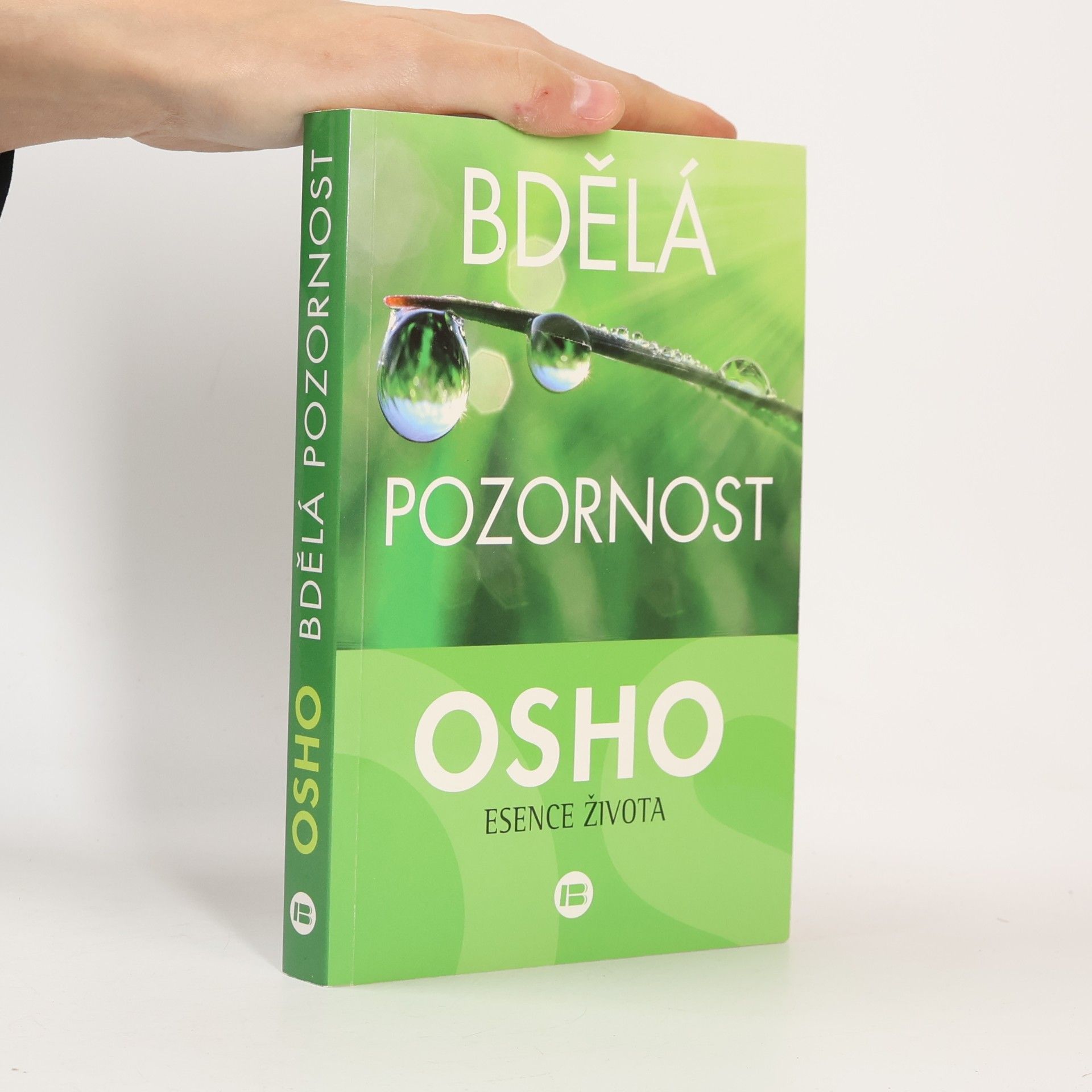 Bdělá pozornost