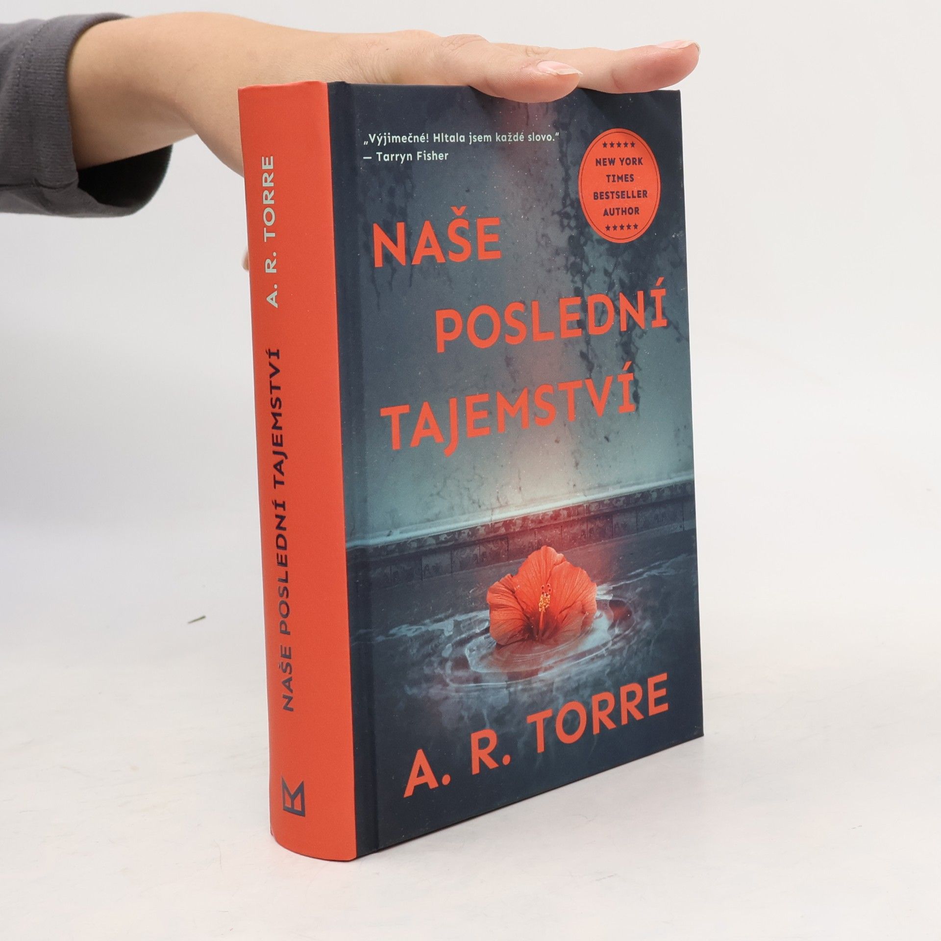 Alessandra Torre Naše poslední tajemství