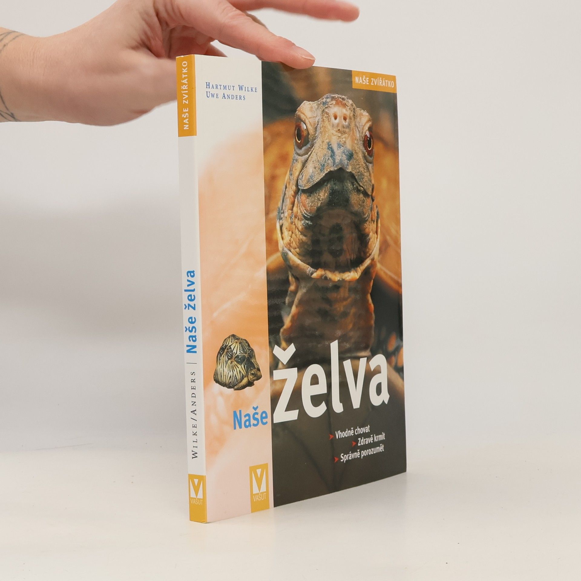 Naše želva