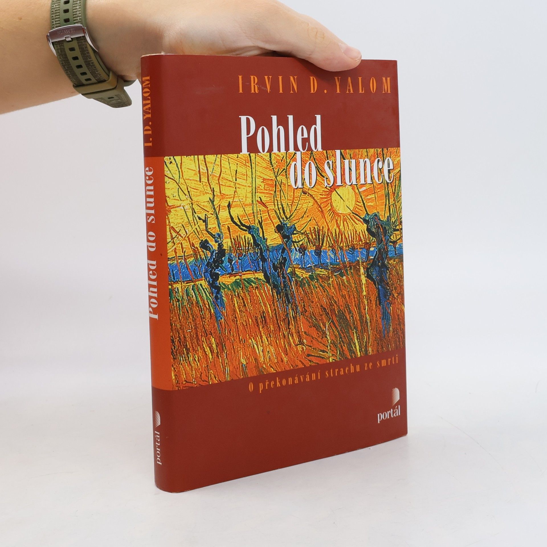 Irvin Yalom Pohled do slunce