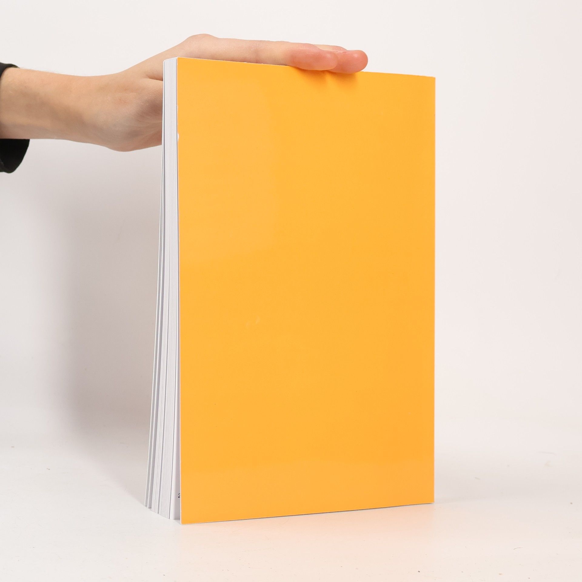 kolektiv Ekonomie a Management 2/2019