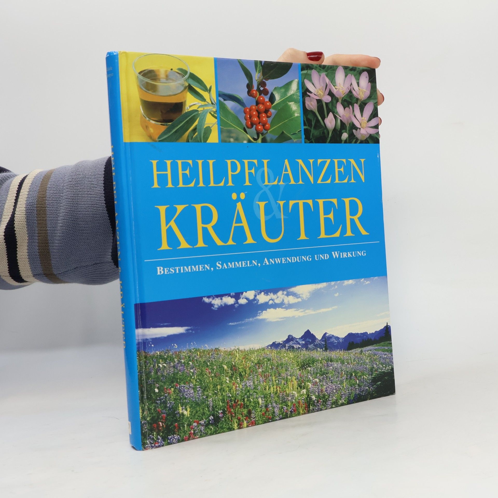 Heilpflanzen & Kräuter