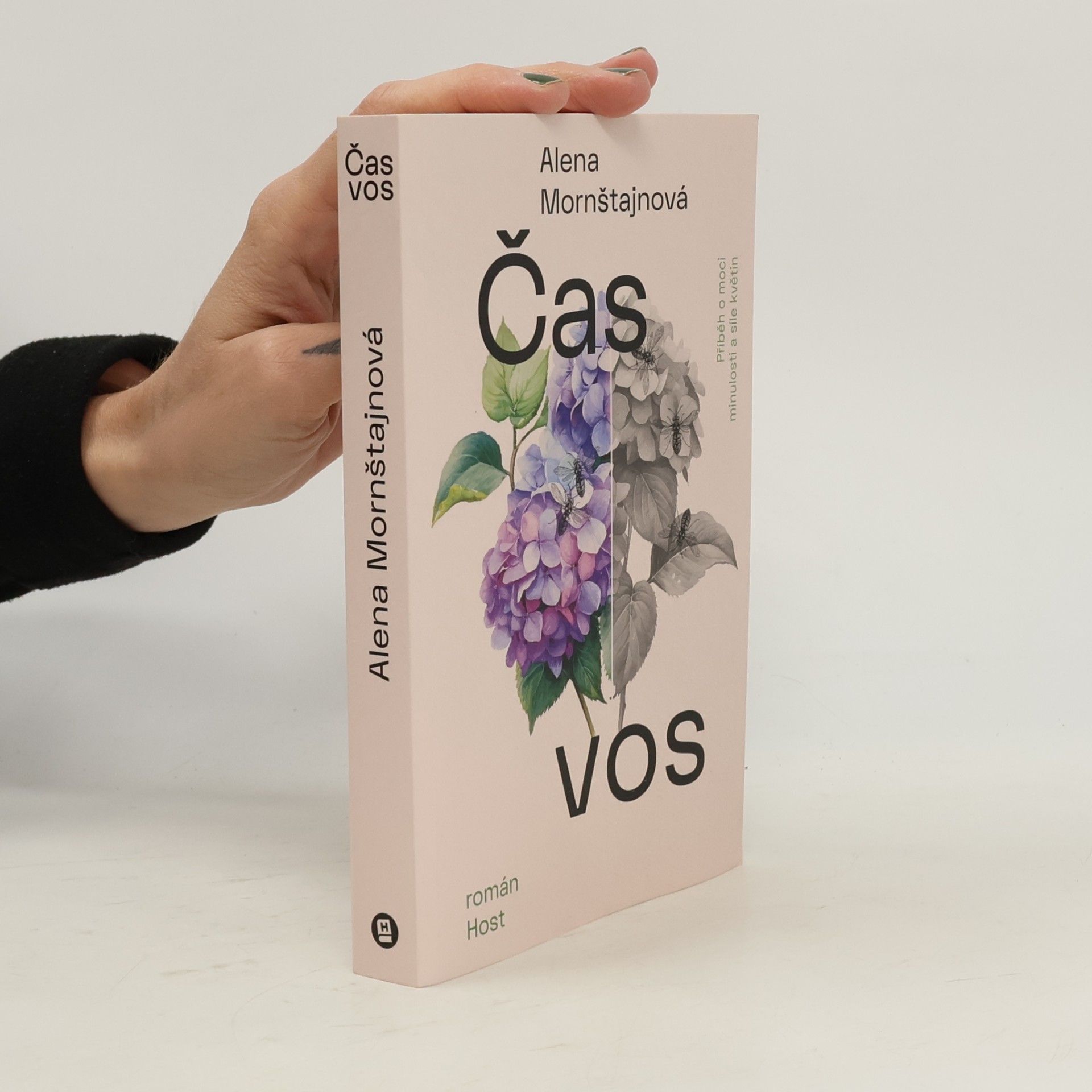 Alena Mornštajnová Čas vos