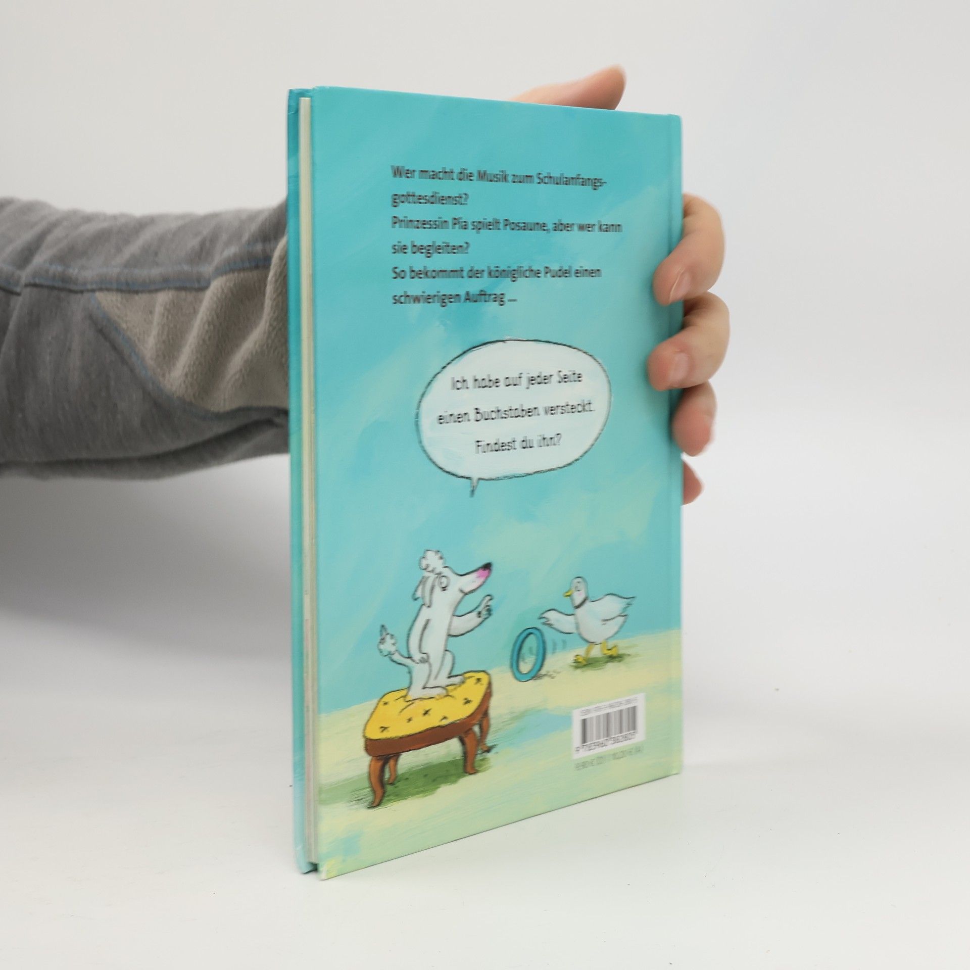 Katja Gehrmann Pudel, Pauken und ein Plan