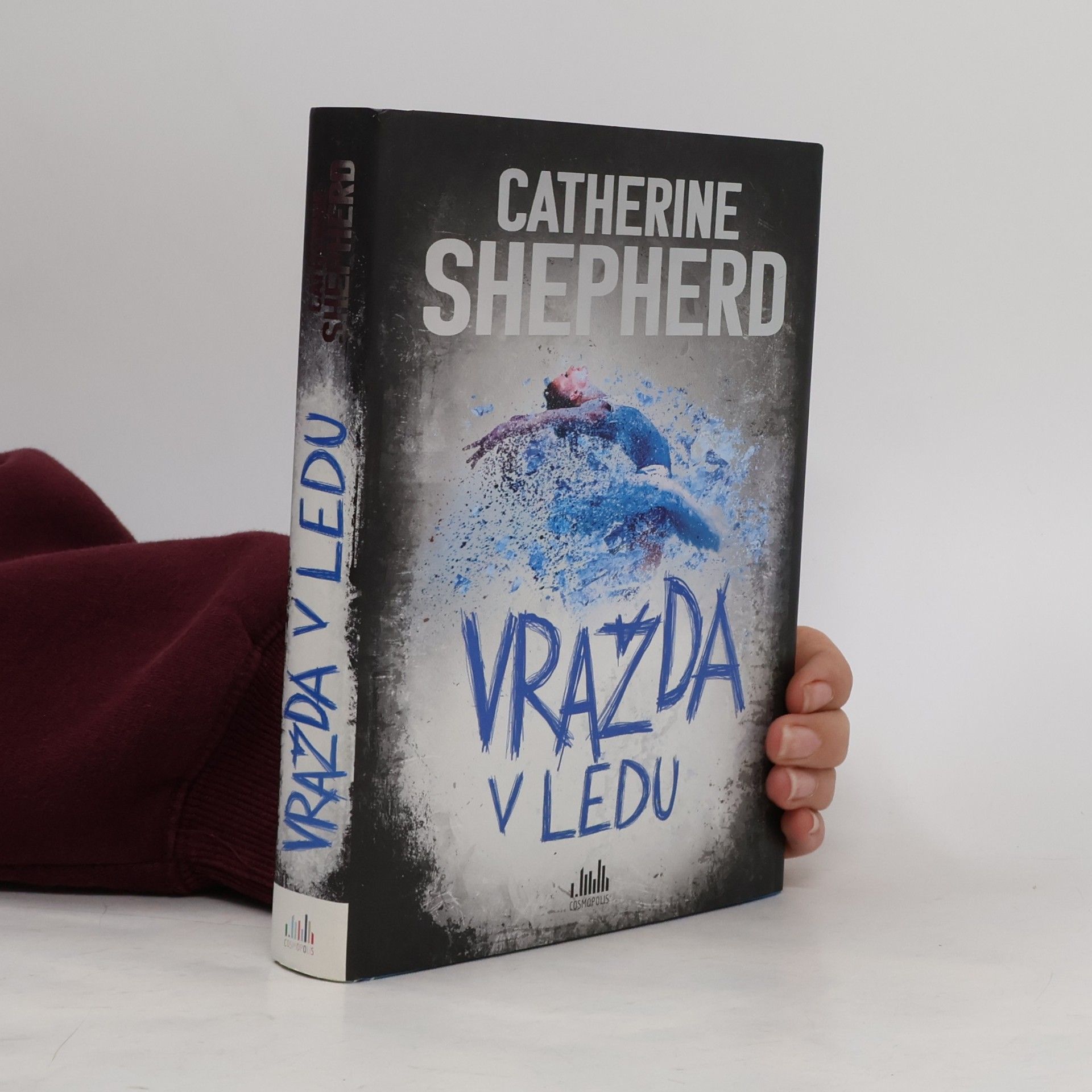 Vražda v ledu