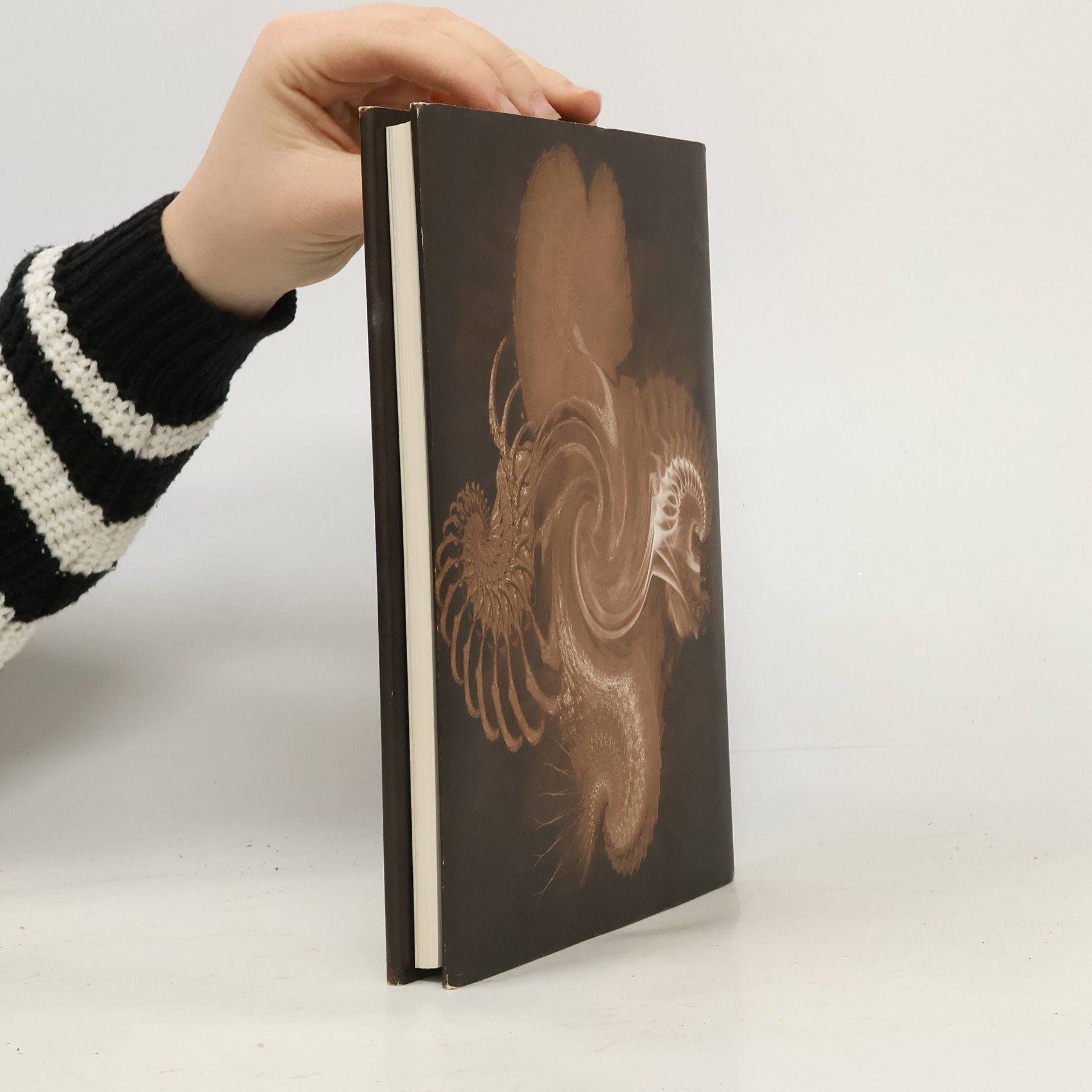 Dave McKean The Vertigo Tarot