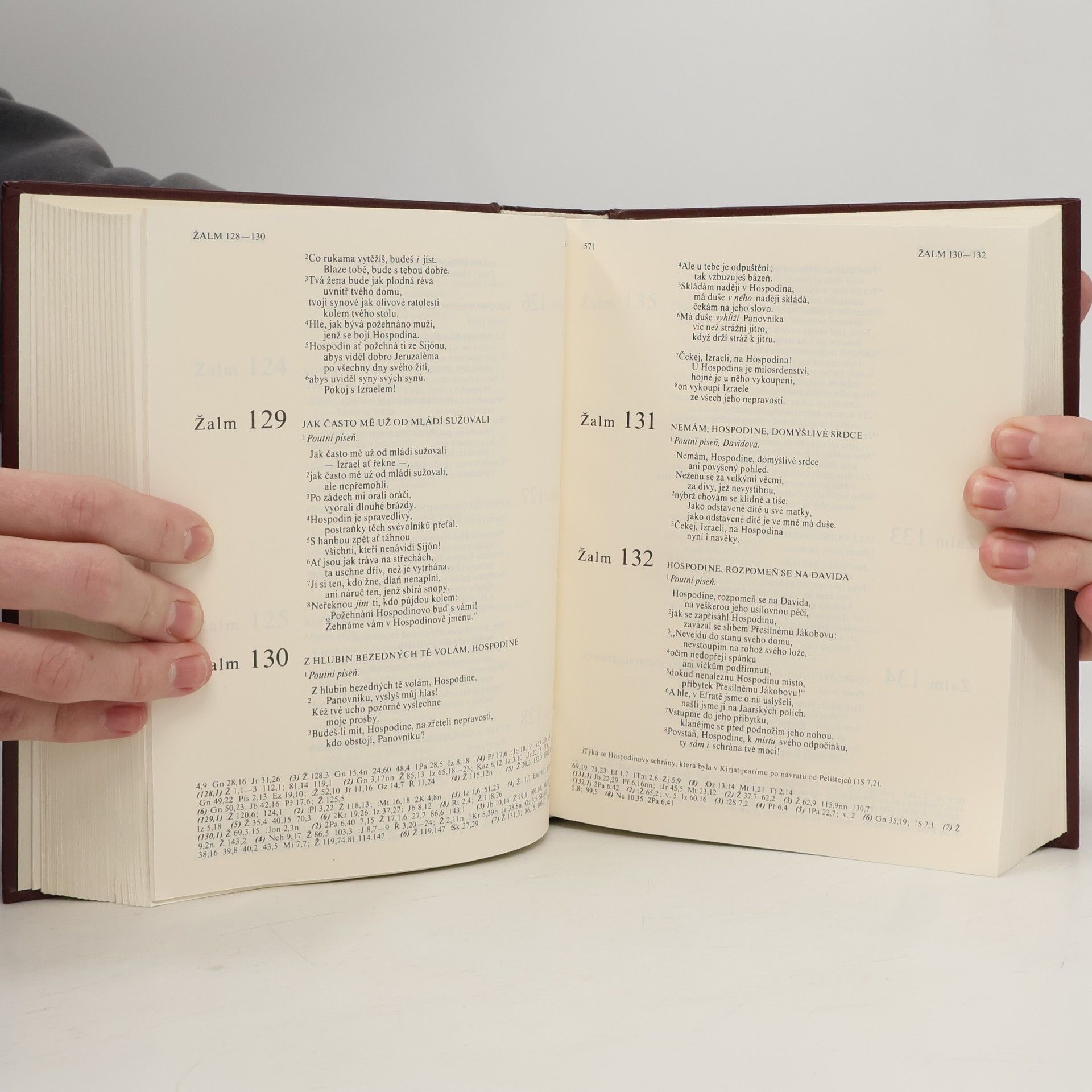 Autorenkollektiv Bible: Písmo svaté Starého a Nového zákona