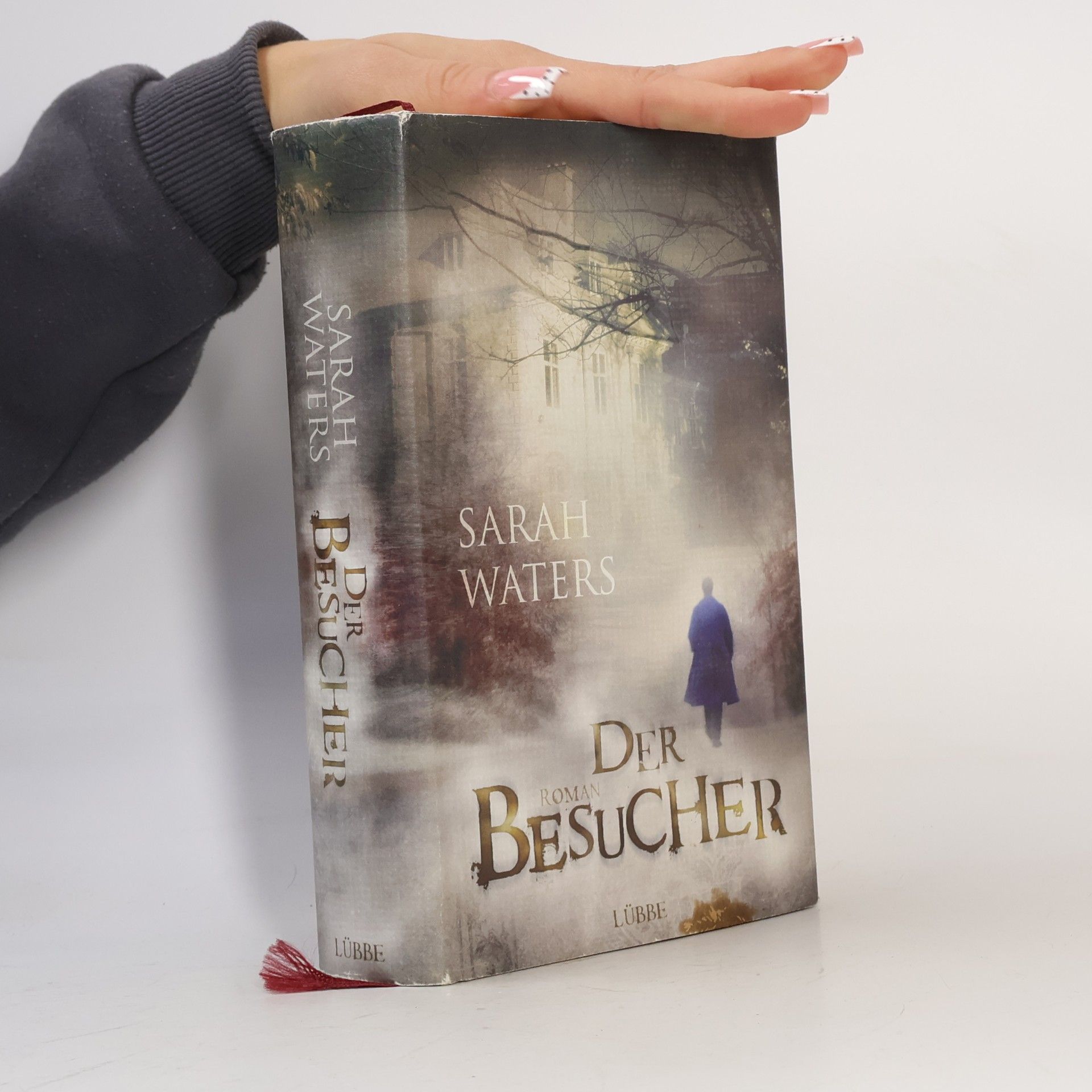 Sarah Waters Der Besucher
