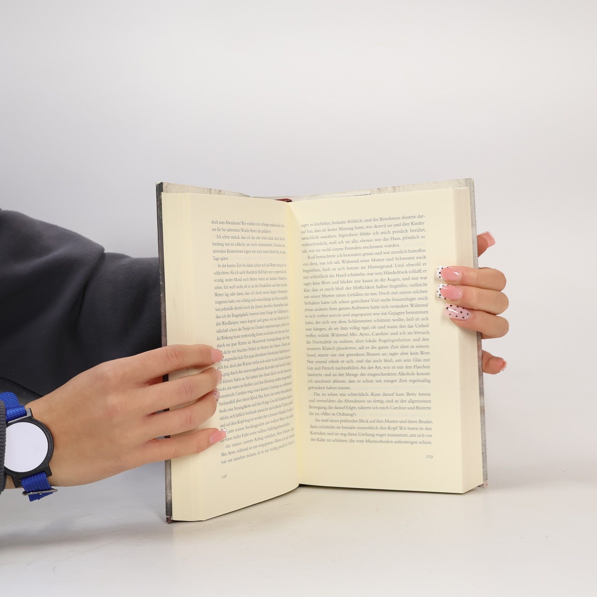 Sarah Waters Der Besucher