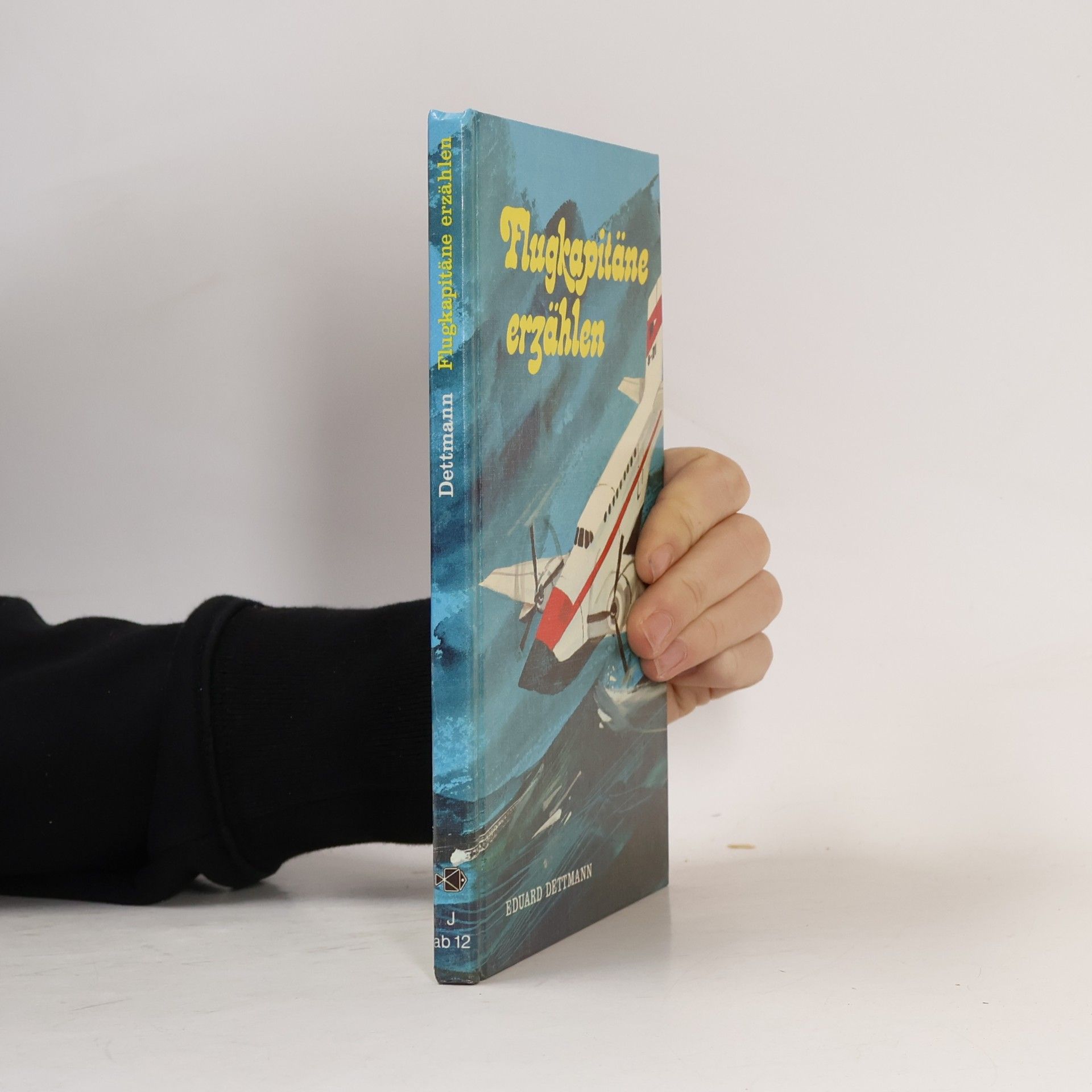Flugkapitäne erzählen