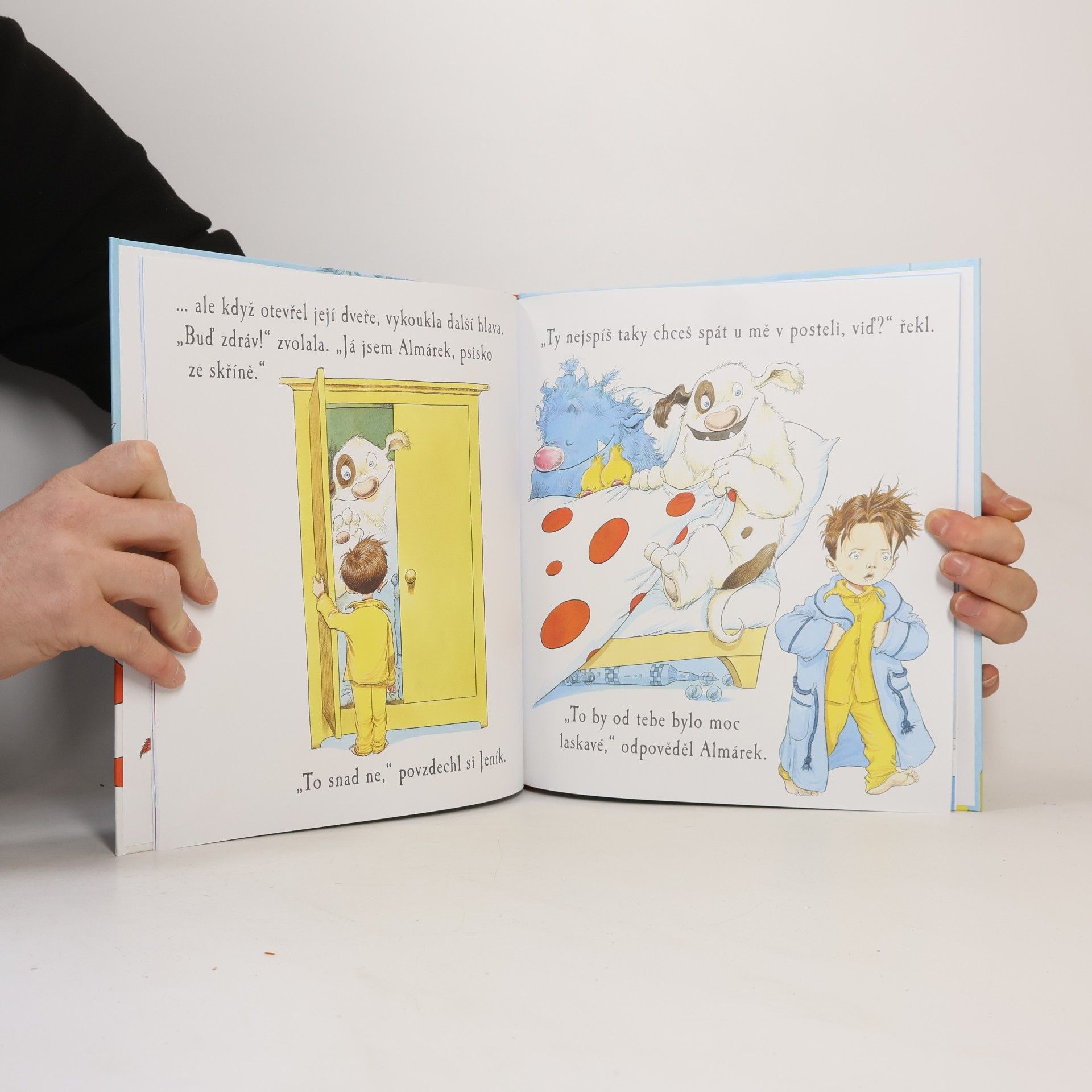Chris Riddell Pan Podpostel