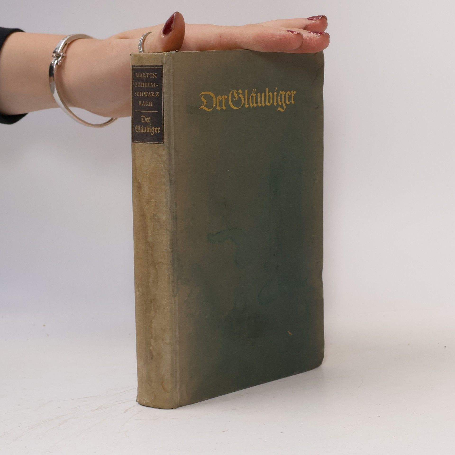 Martin BeheimSchwarzbach Der Gläubiger