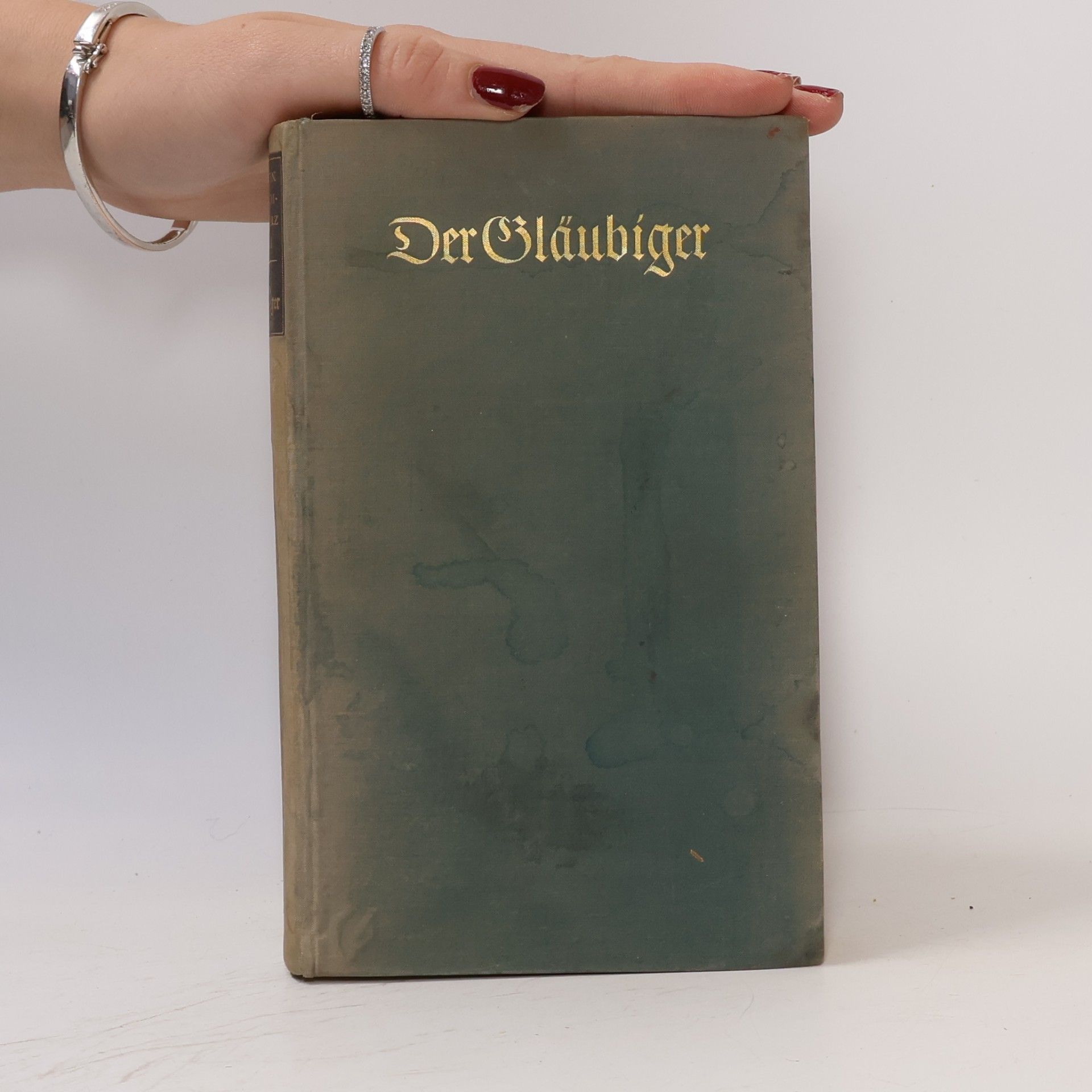Martin BeheimSchwarzbach Der Gläubiger