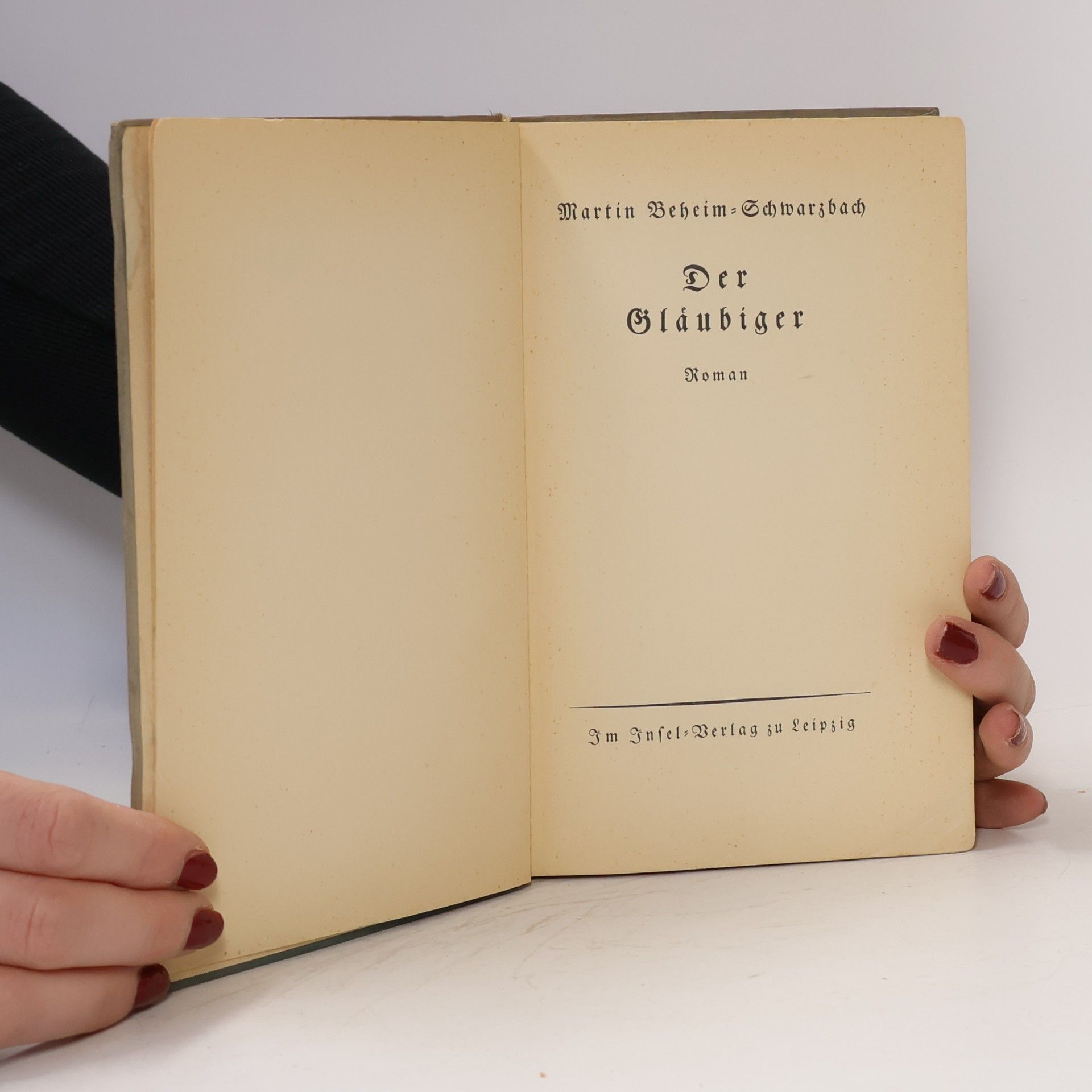 Martin BeheimSchwarzbach Der Gläubiger