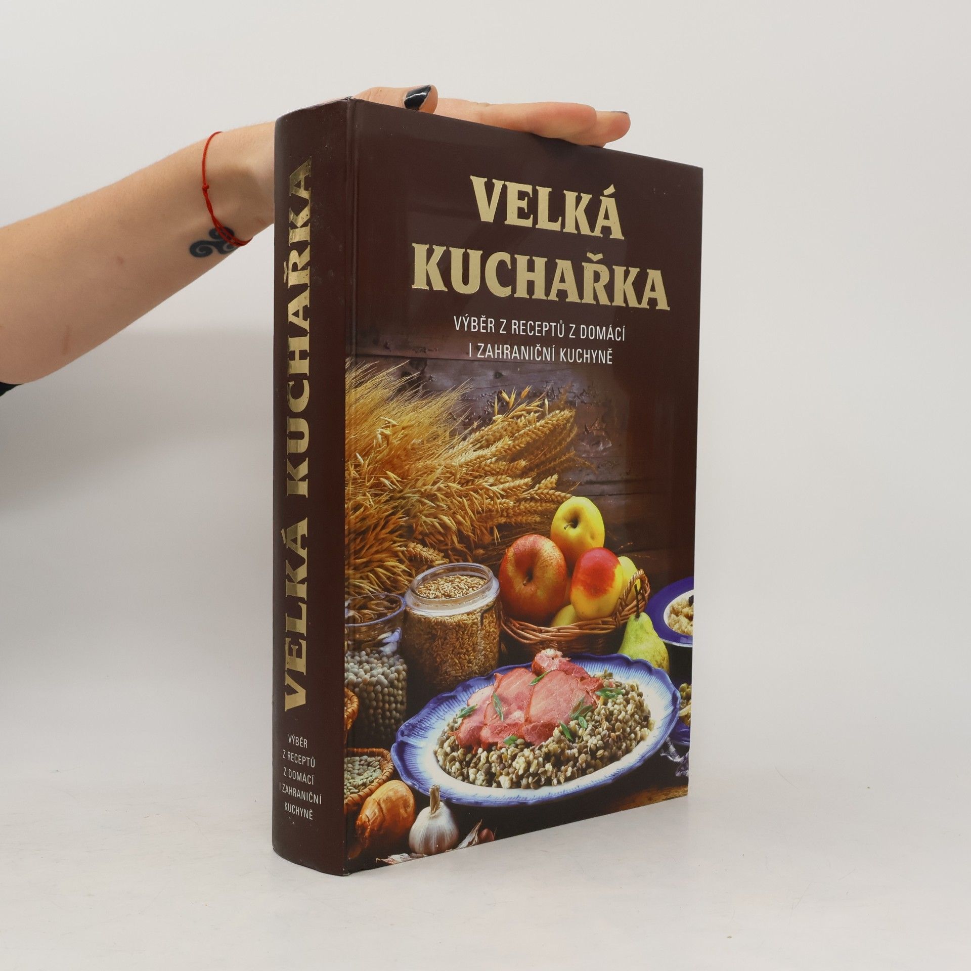 kolektiv Velká kuchařka. Výběr receptů z domácí i zahraniční kuchyně