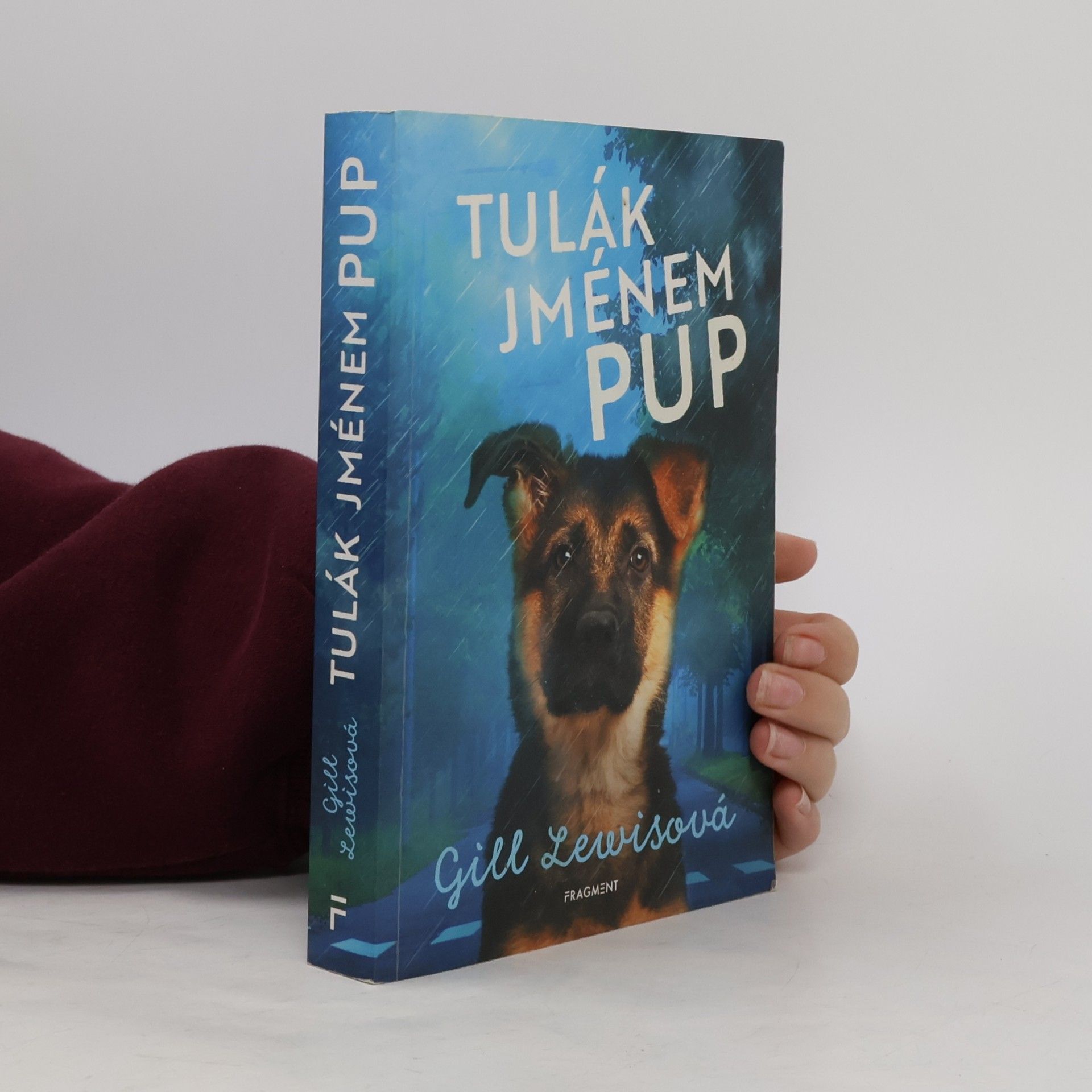 Tulák jménem Pup