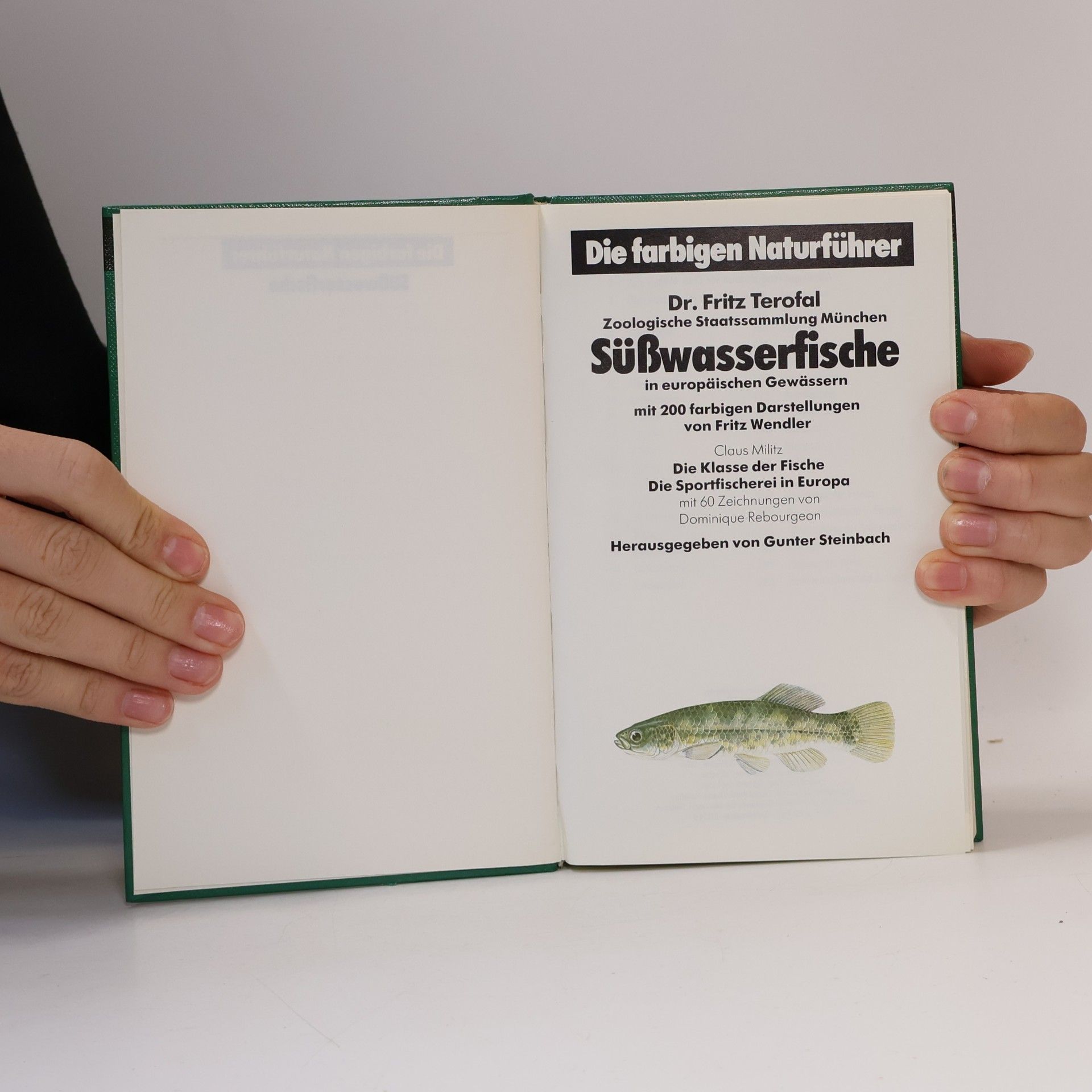 Kolektiv autorů Süßwasserfische in europäischen Gewässern