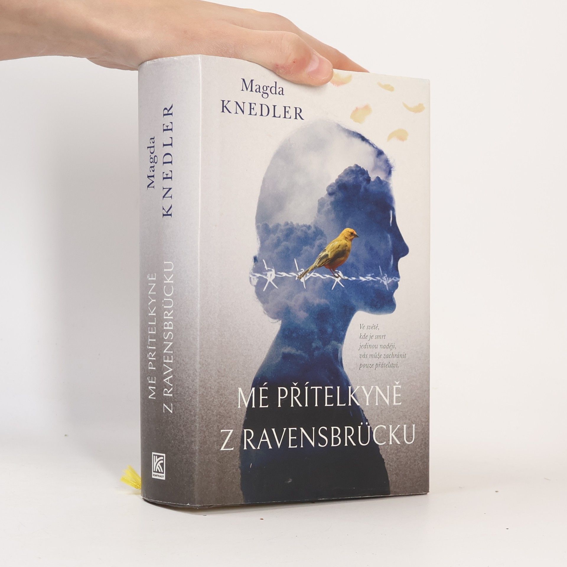 Magdalena Knedler Mé přítelkyně z Ravensbrücku