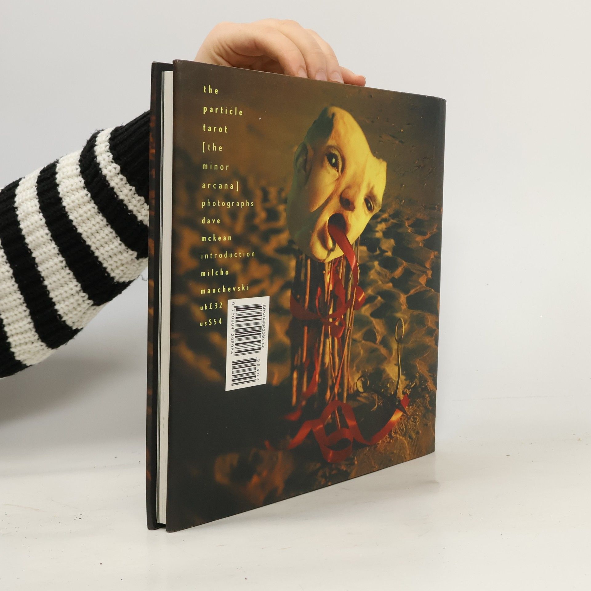 Dave McKean The Particle Tarot: The Minor Arcana