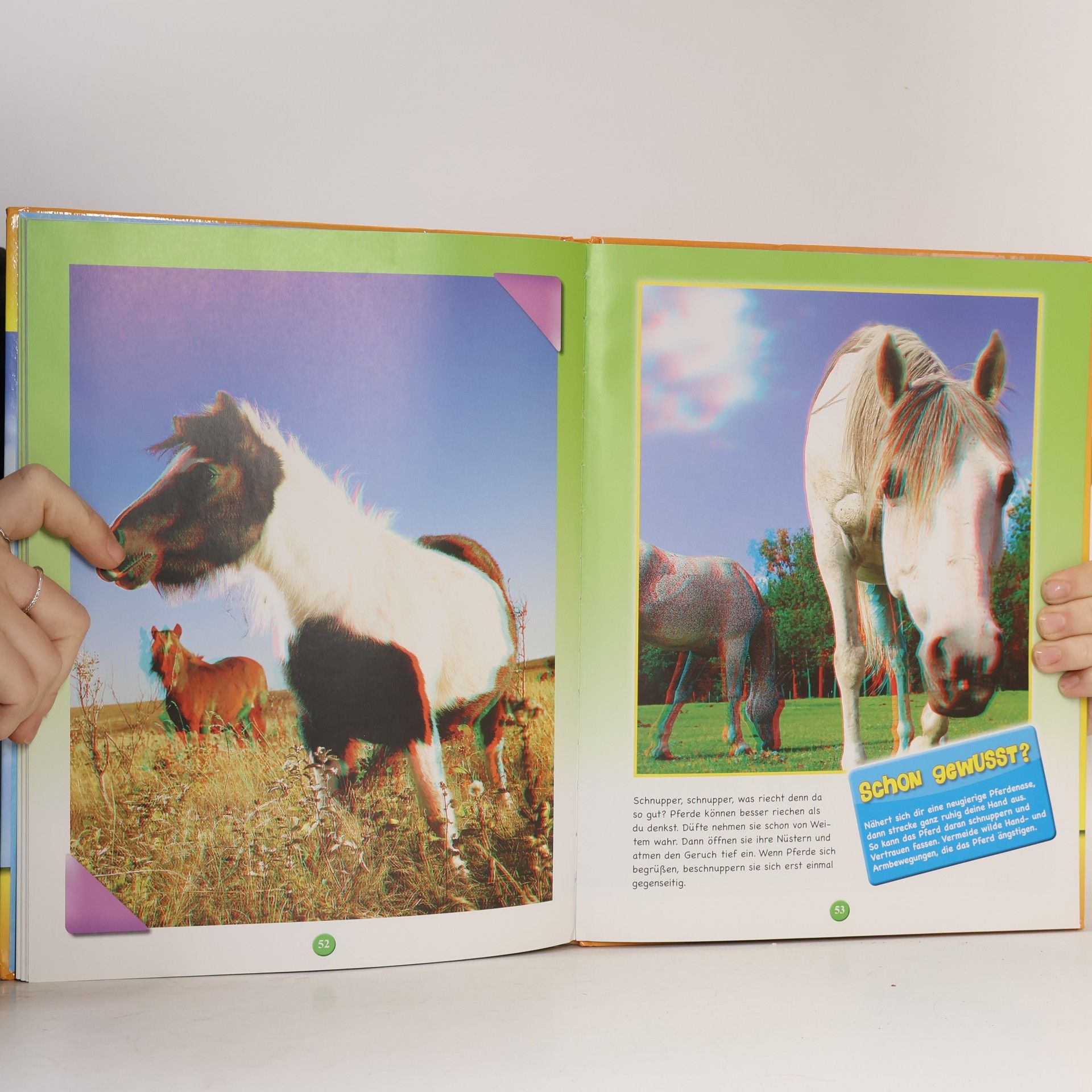 Bärbel Oftring Pferde und Ponys. Meine bunte 3D Tierwelt