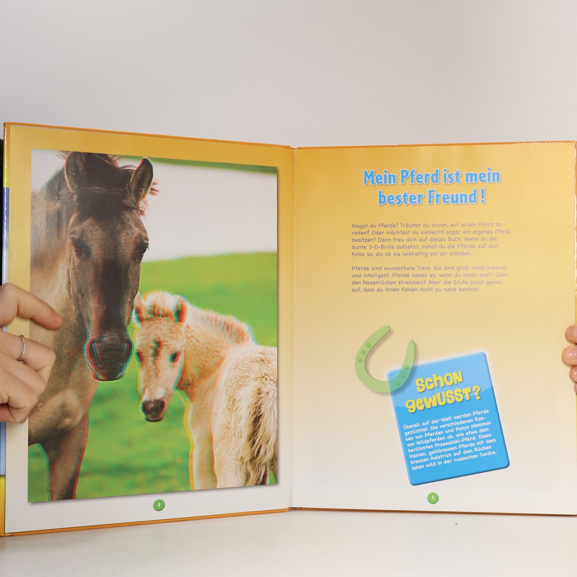 Bärbel Oftring Pferde und Ponys. Meine bunte 3D Tierwelt