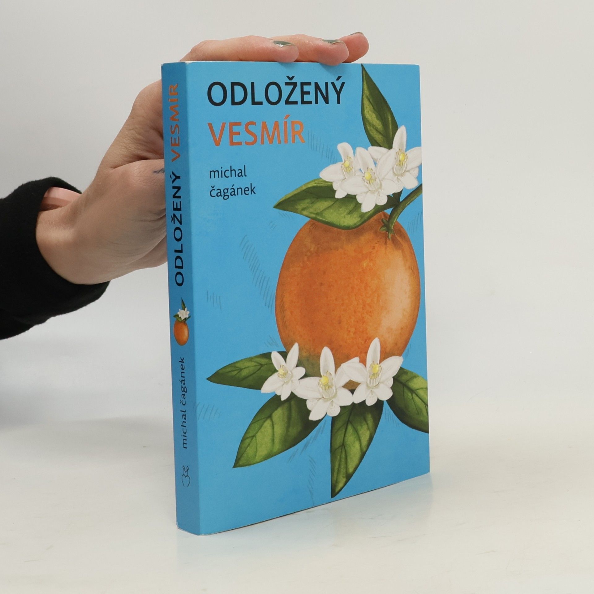 Odložený Vesmír