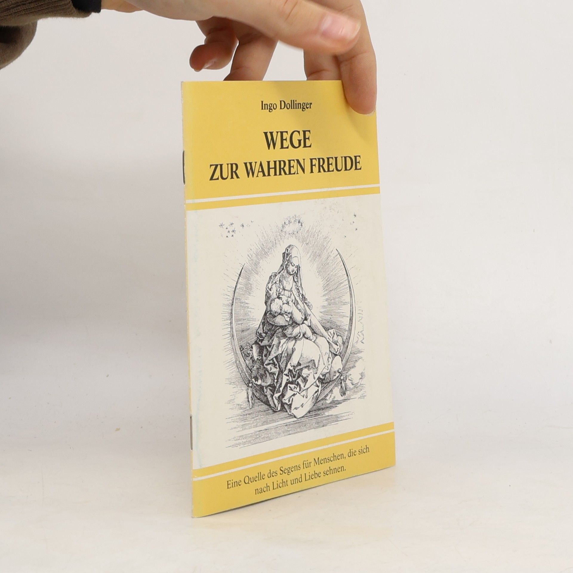 Ingo Dollinger Wege zur wahren Freude