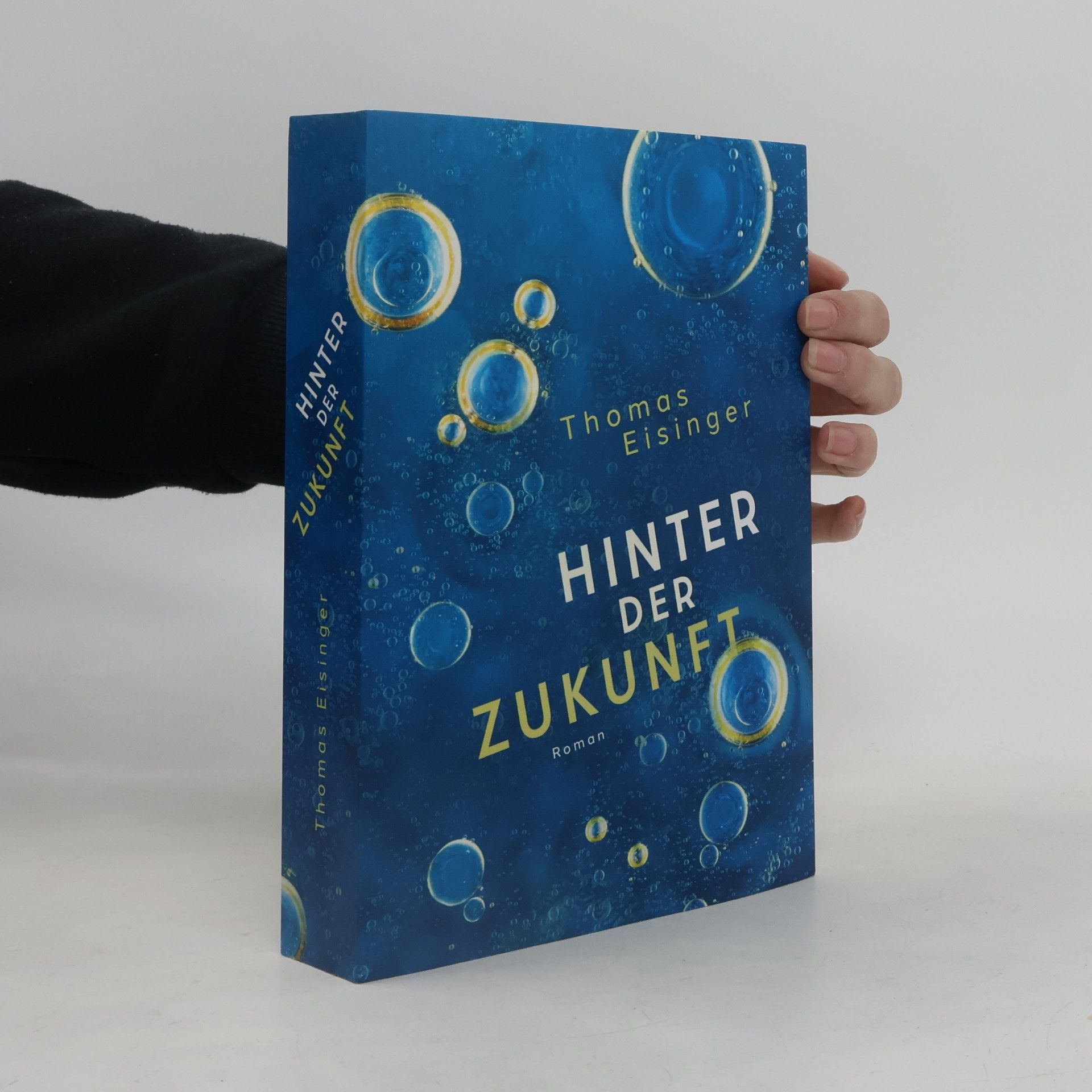 Thomas Eisinger Hinter der Zukunft